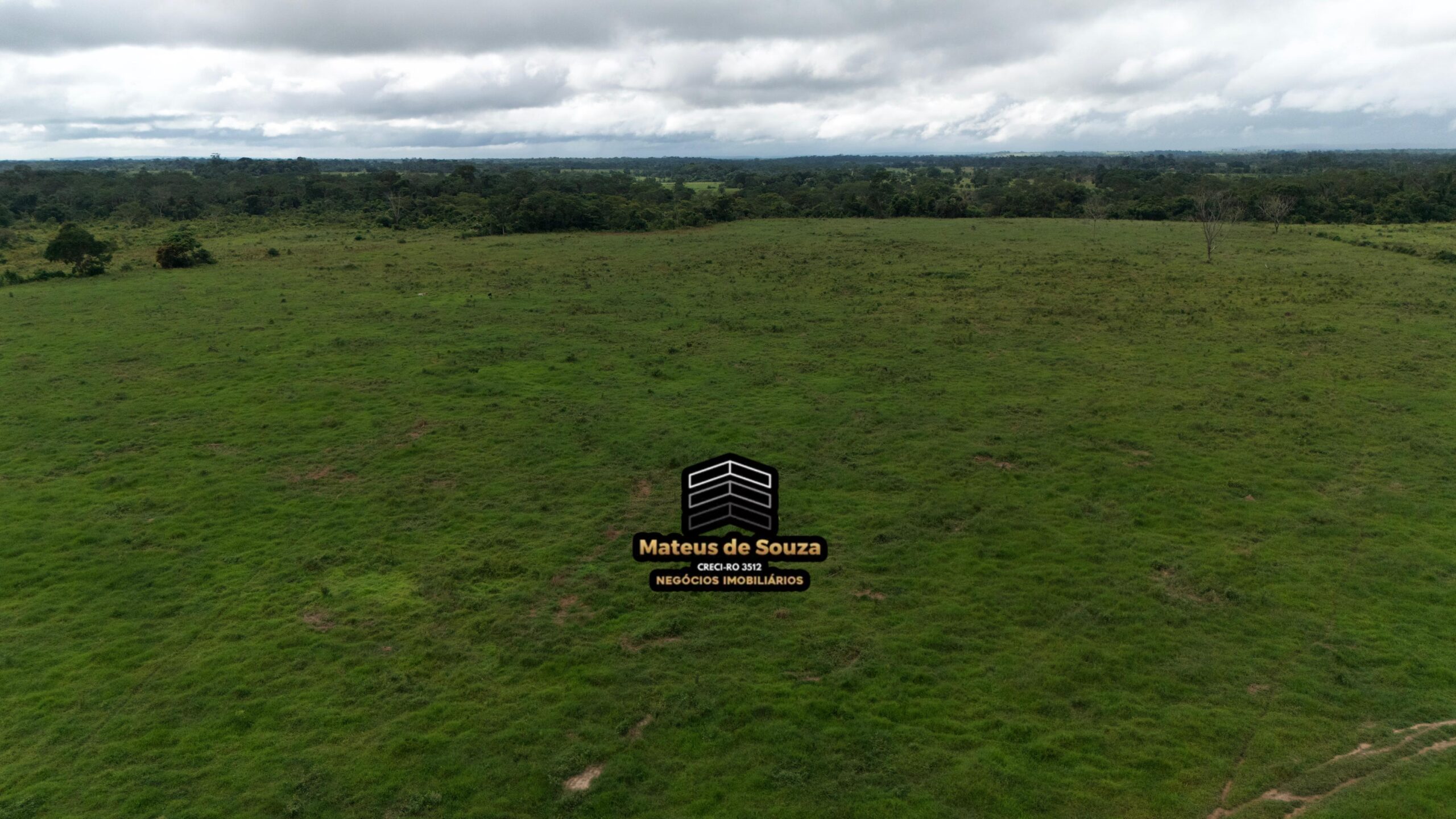 WhatsApp Image 2026-02-21 at 20.52.17