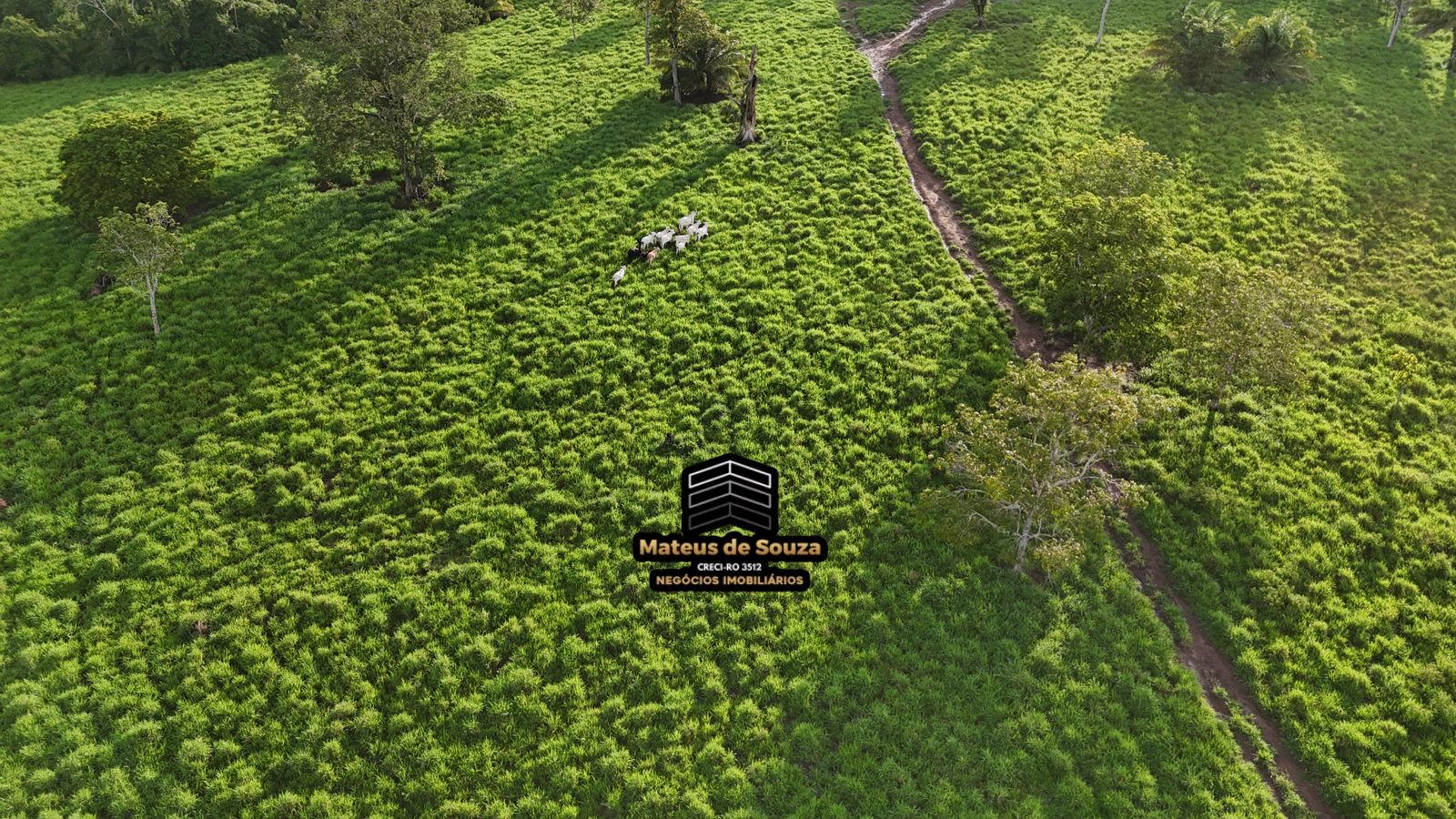 WhatsApp Image 2026-02-21 at 20.53.21