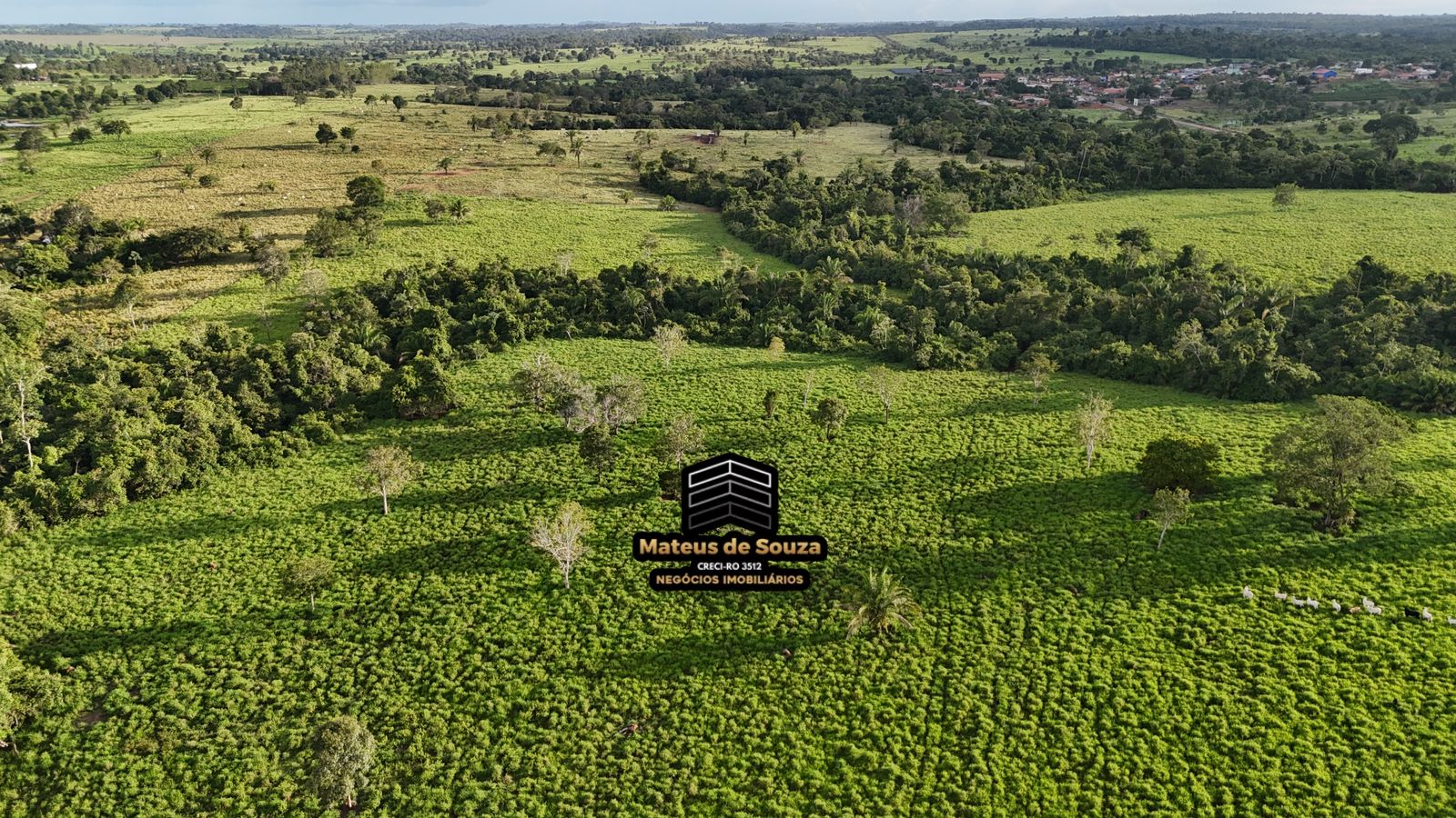 WhatsApp Image 2026-02-21 at 20.53.22