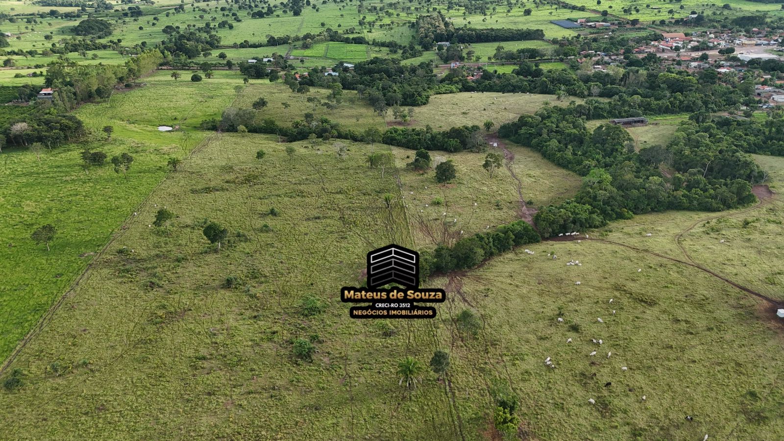 WhatsApp Image 2026-02-21 at 20.53.23 (1)