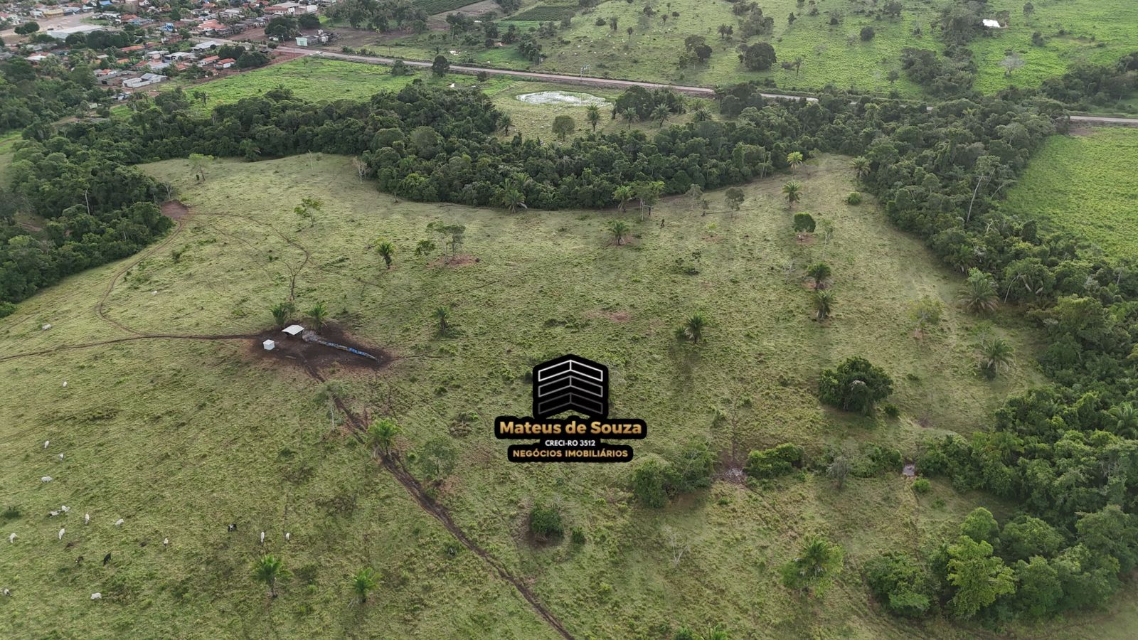 WhatsApp Image 2026-02-21 at 20.53.23 (2)