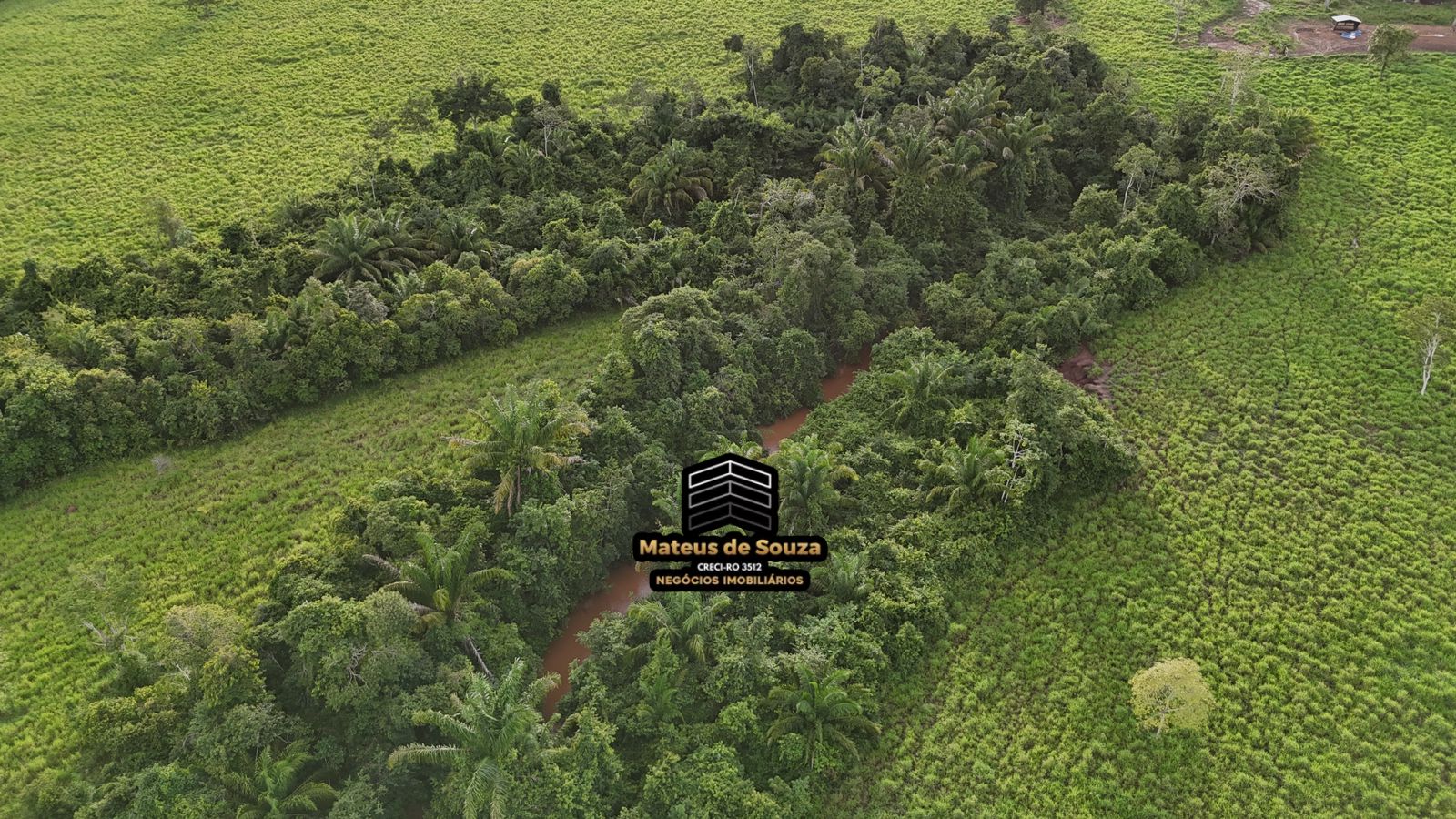 WhatsApp Image 2026-02-21 at 20.53.24 (1)