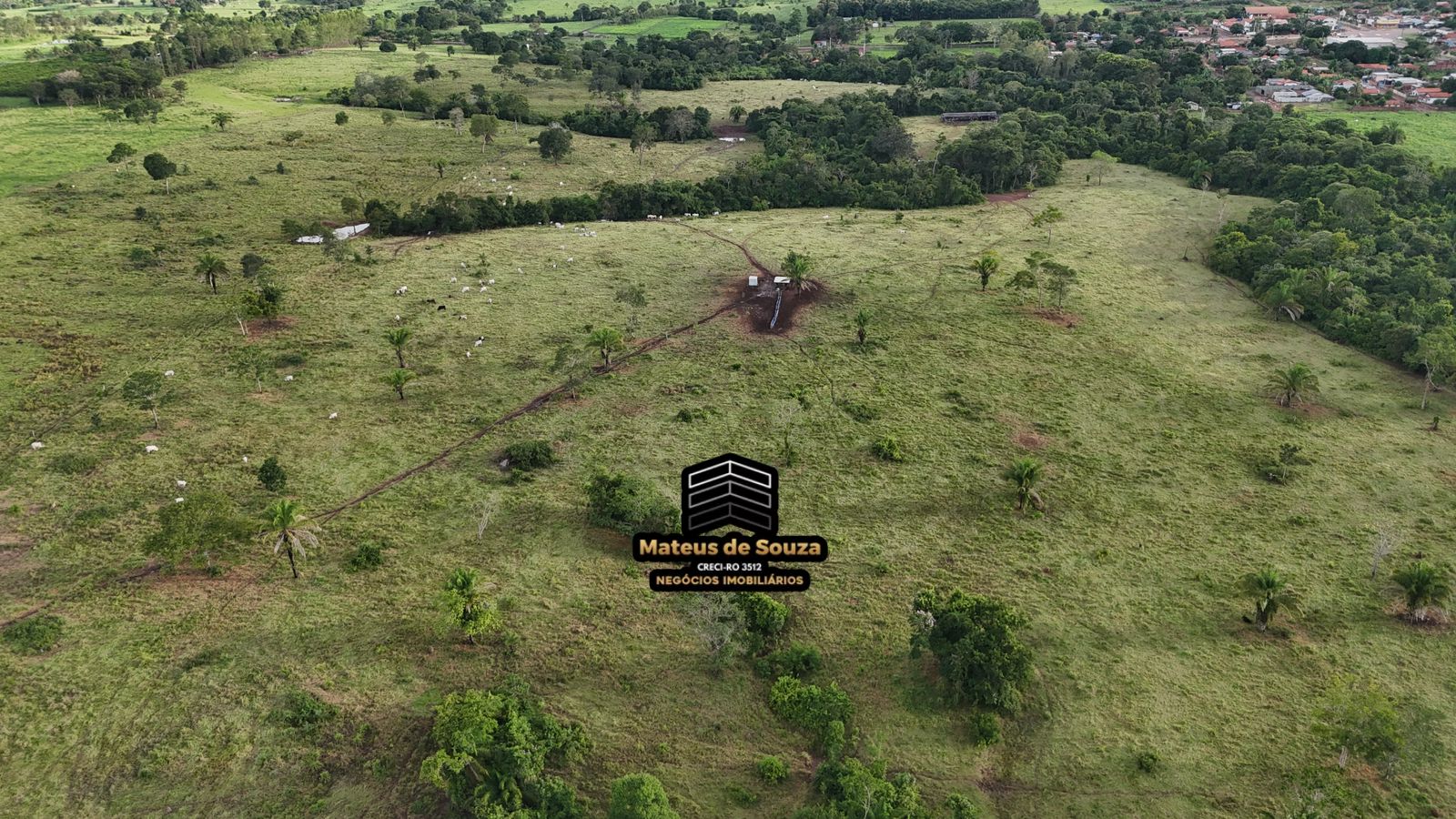 WhatsApp Image 2026-02-21 at 20.53.24 (2)