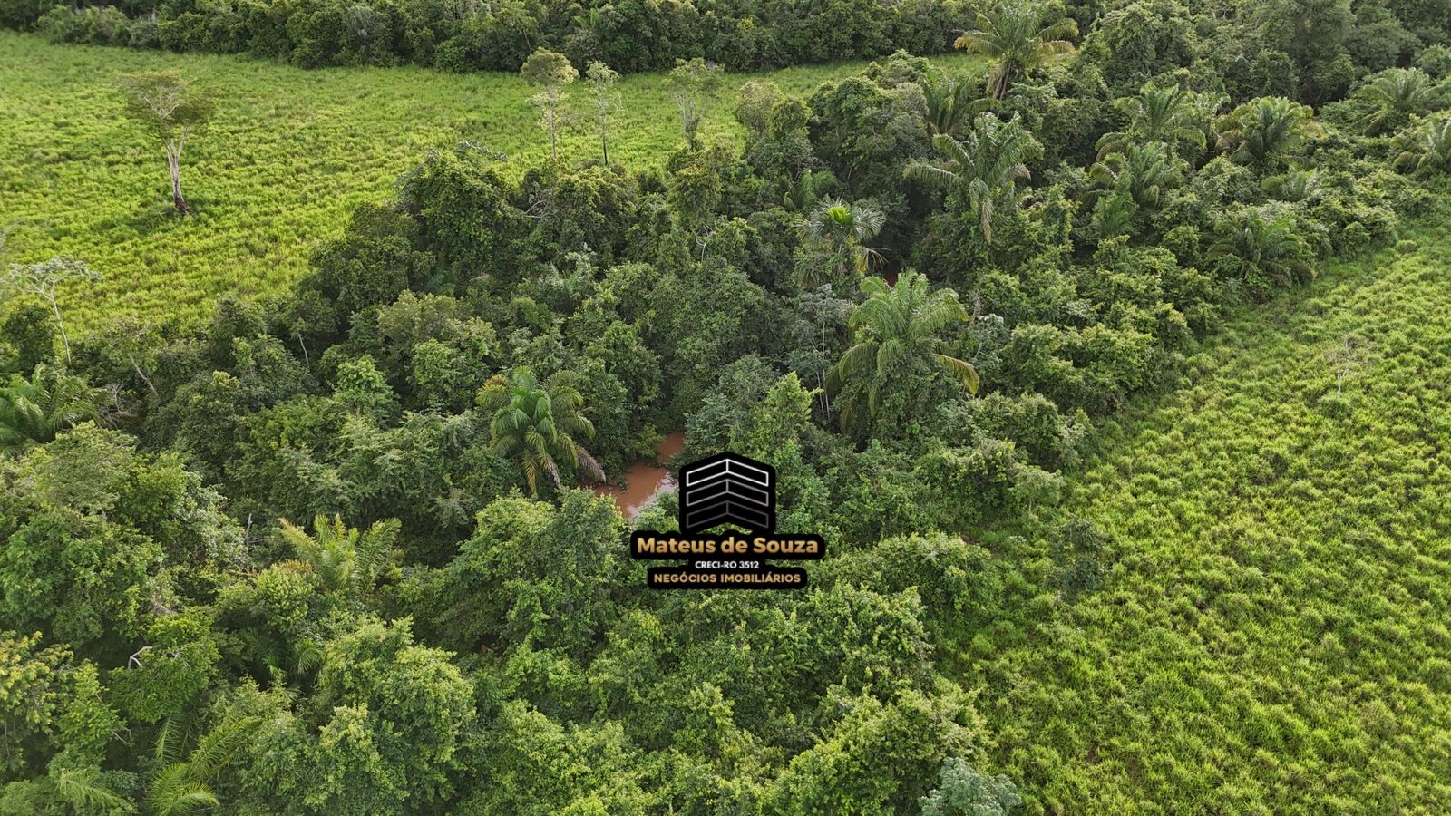 WhatsApp Image 2026-02-21 at 20.53.24 (3)