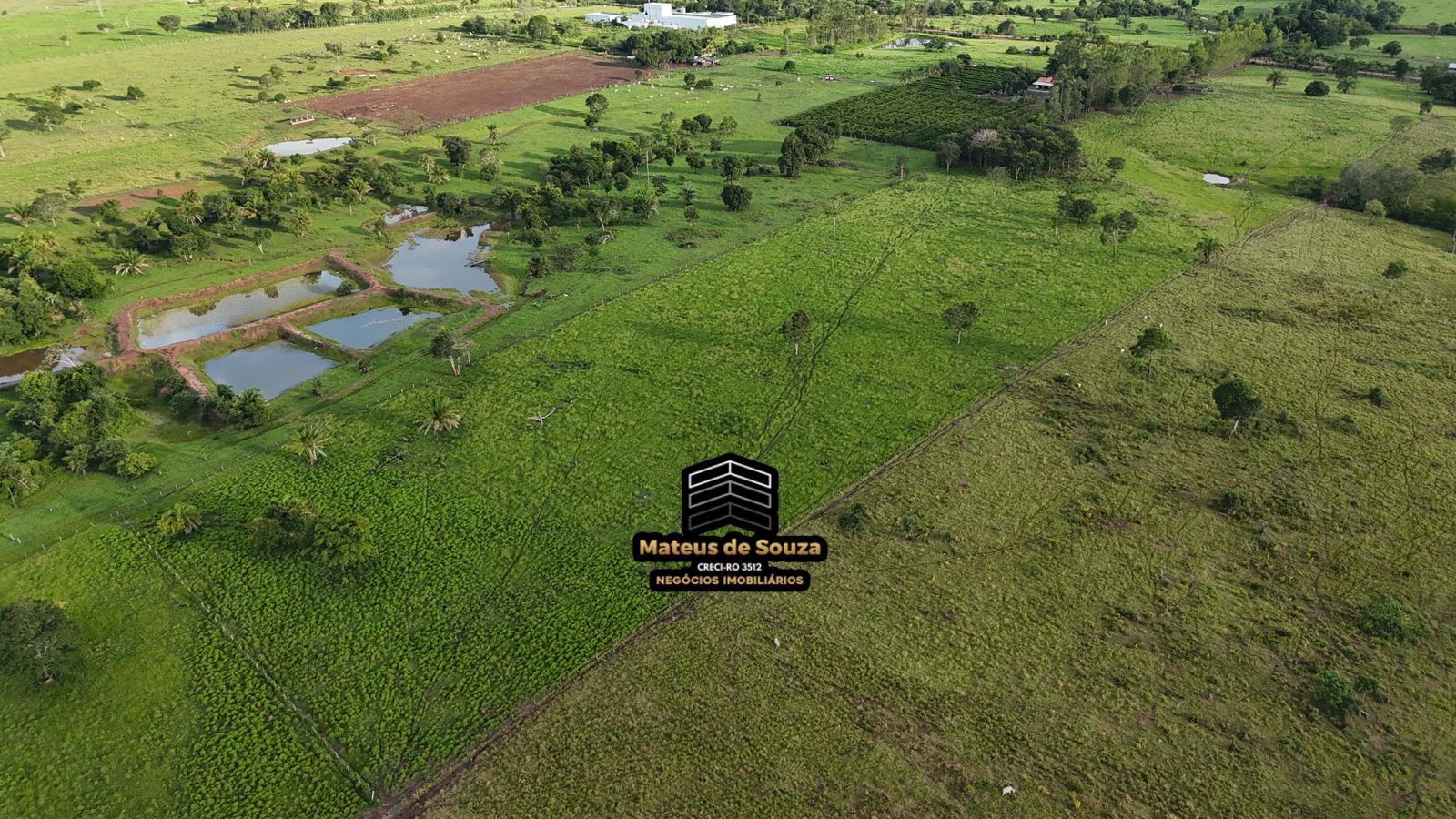 WhatsApp Image 2026-02-21 at 20.53.24