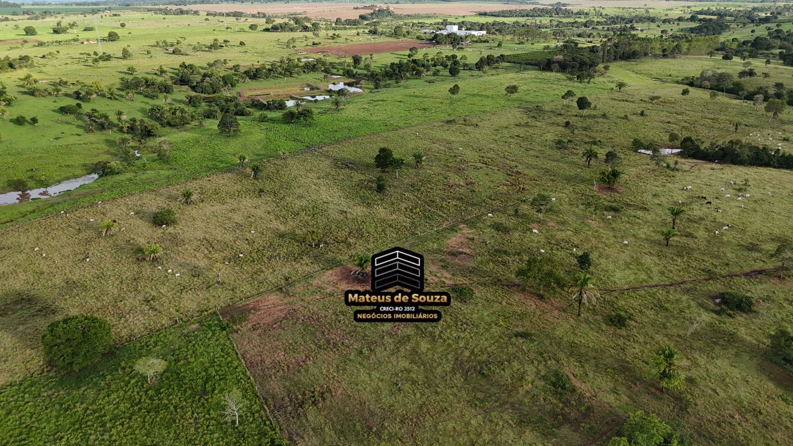 WhatsApp Image 2026-02-21 at 20.53.25