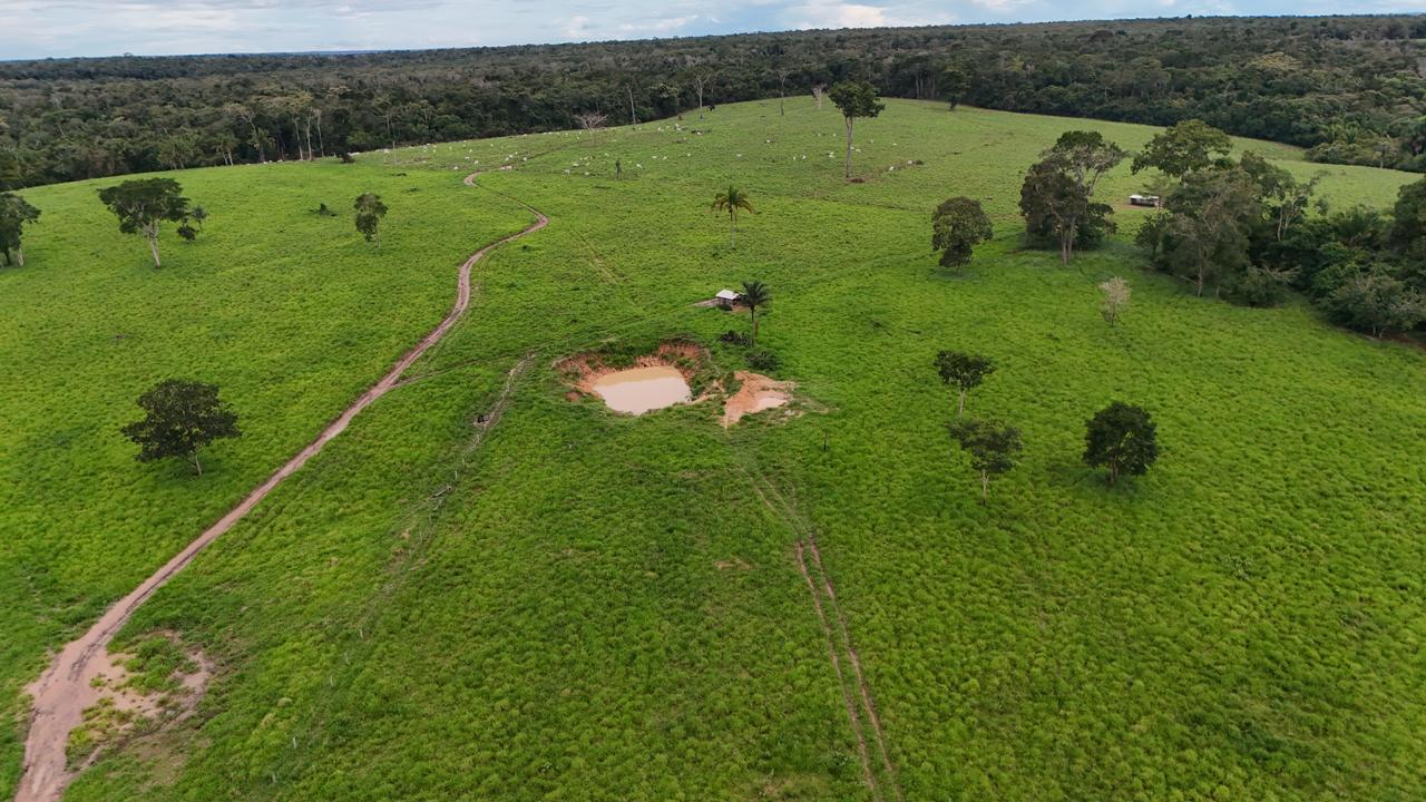 WhatsApp Image 2026-02-27 at 11.45.01