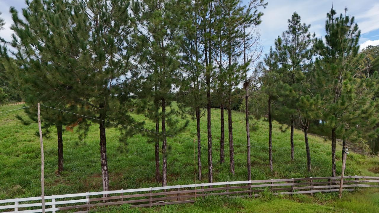 WhatsApp Image 2026-02-27 at 11.45.02 (1)