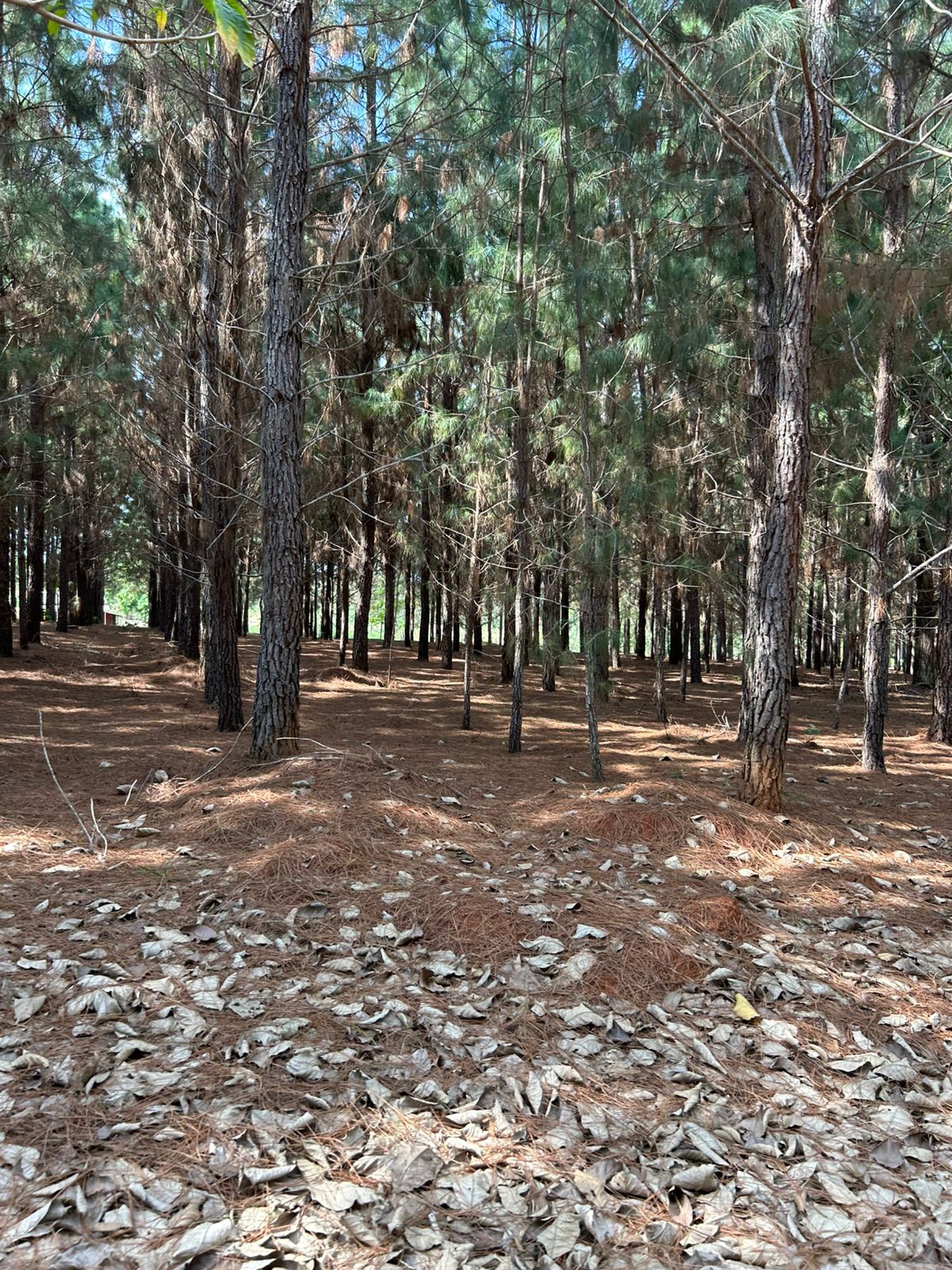 WhatsApp Image 2026-02-28 at 09.28.39