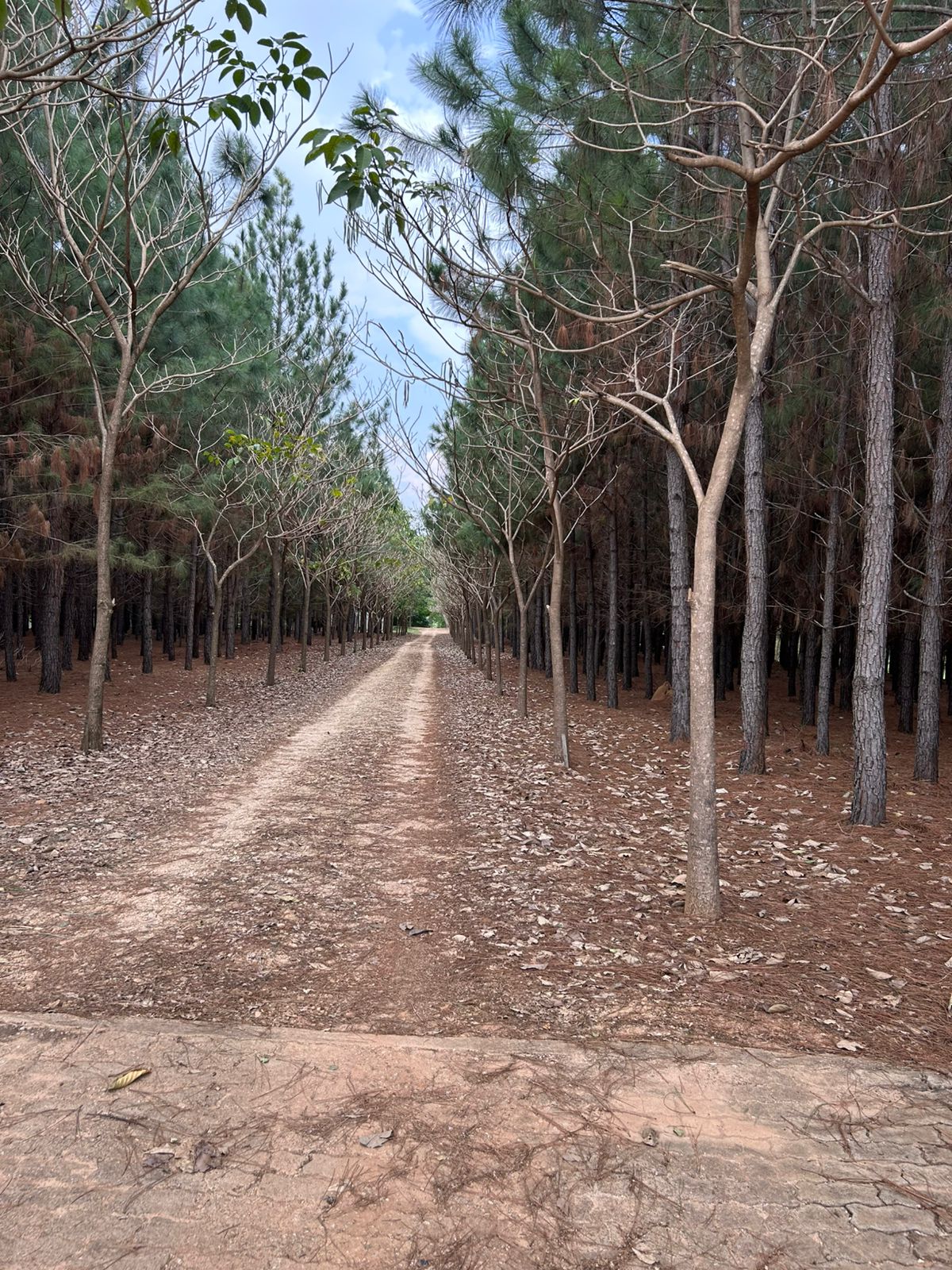 WhatsApp Image 2026-02-28 at 09.28.45 (3)