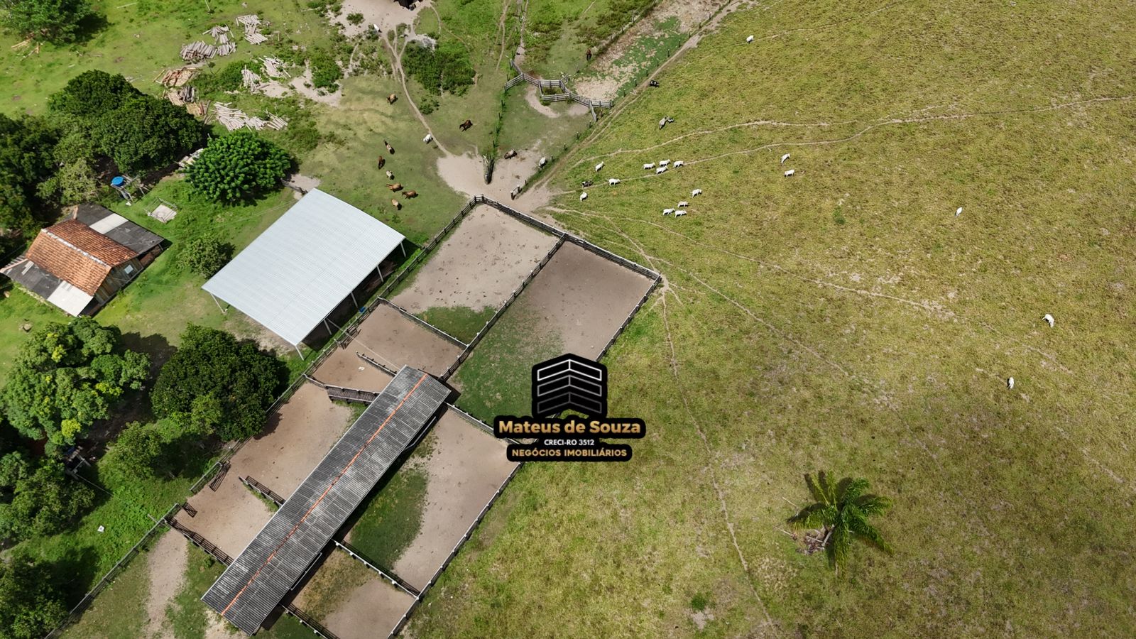 WhatsApp Image 2026-03-02 at 08.51.15 (3)