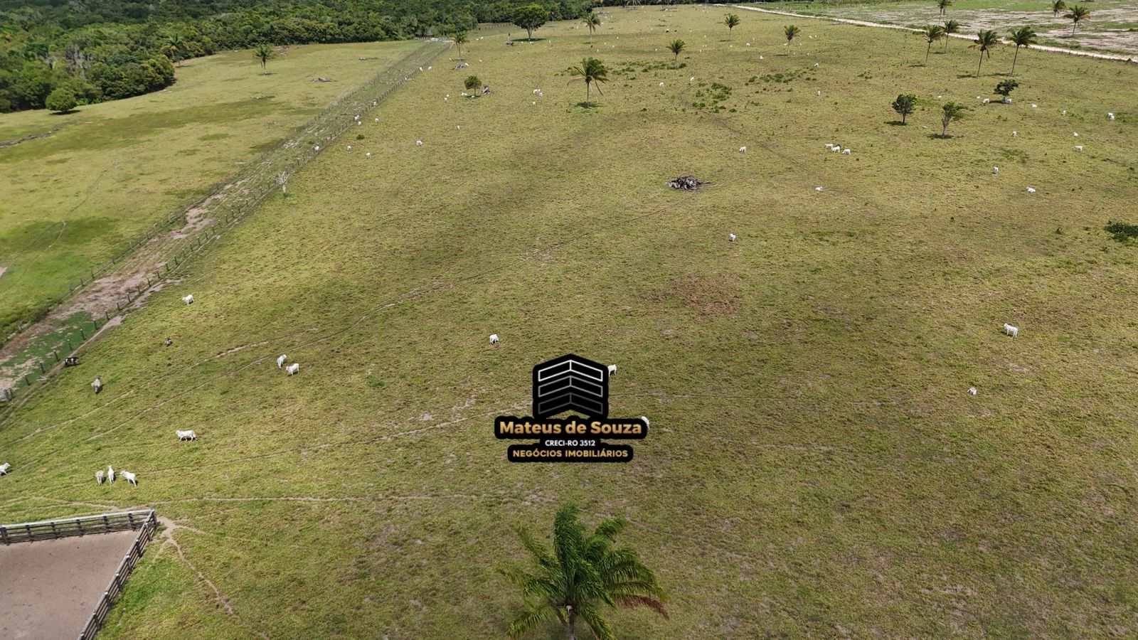 WhatsApp Image 2026-03-02 at 08.51.16 (1)