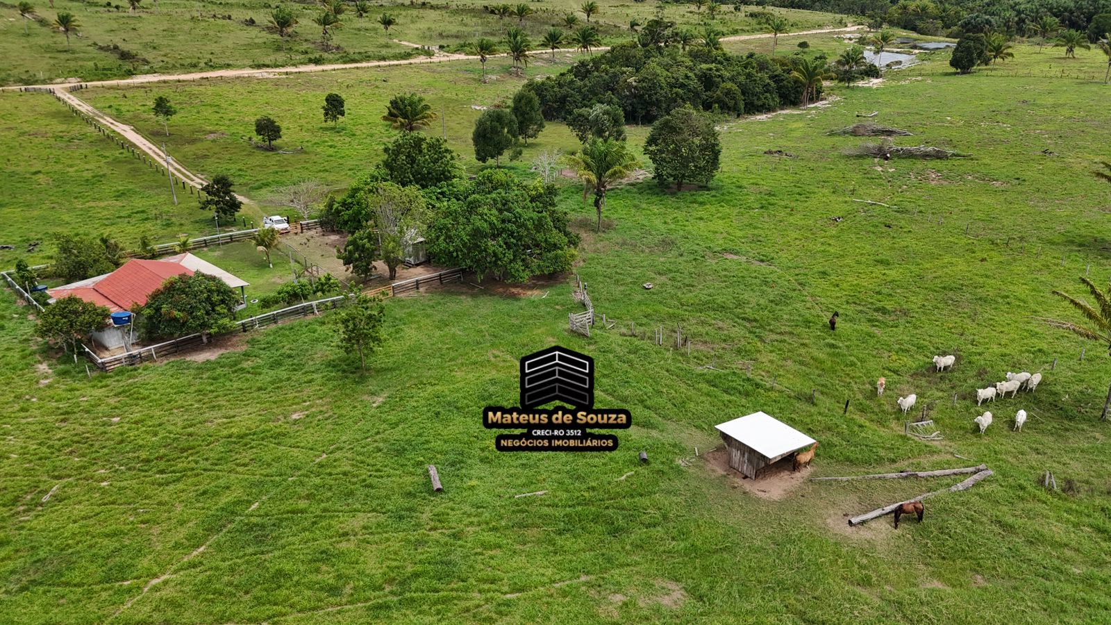 WhatsApp Image 2026-03-02 at 08.51.16 (2)