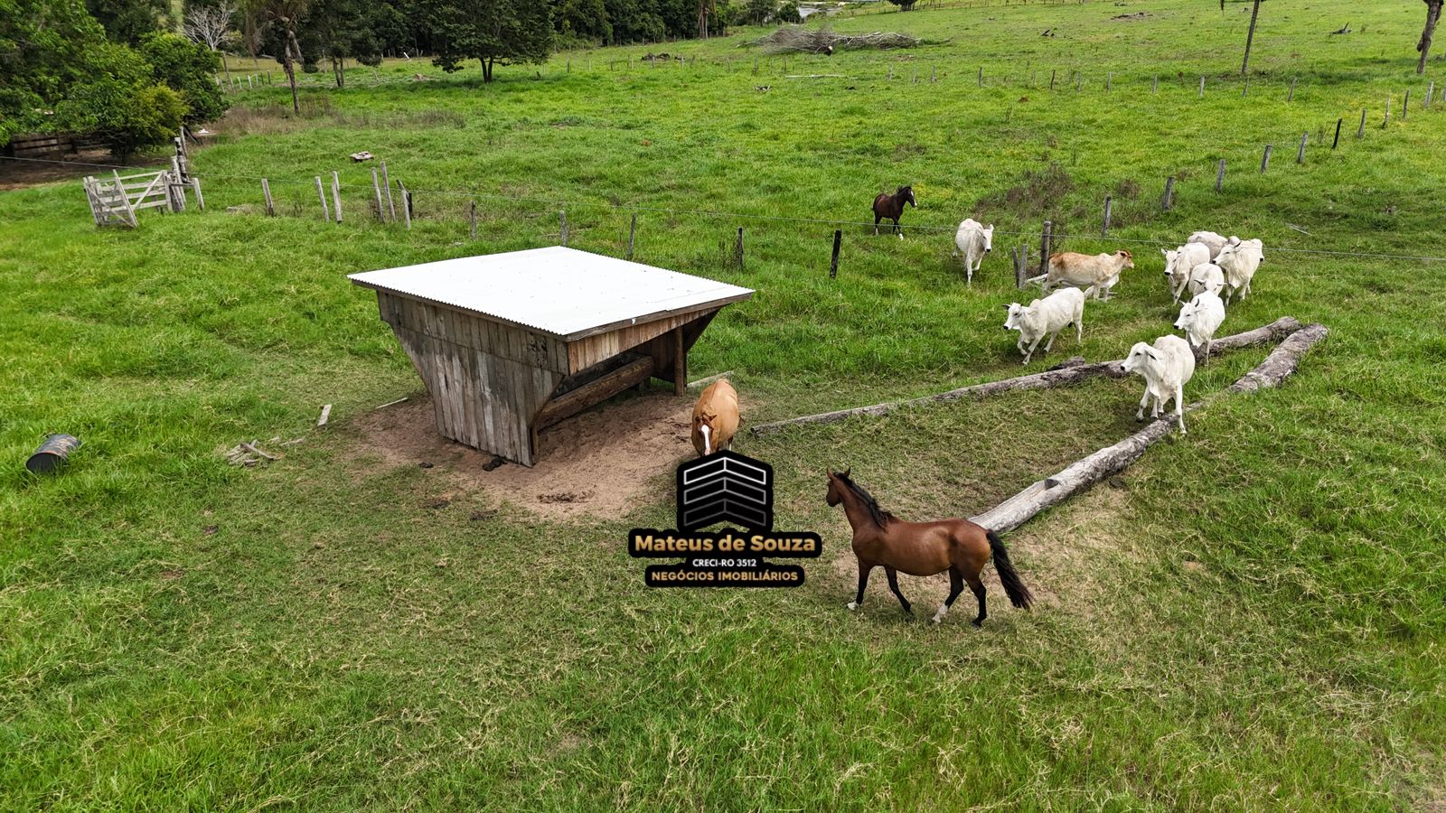 WhatsApp Image 2026-03-02 at 08.51.16 (3)