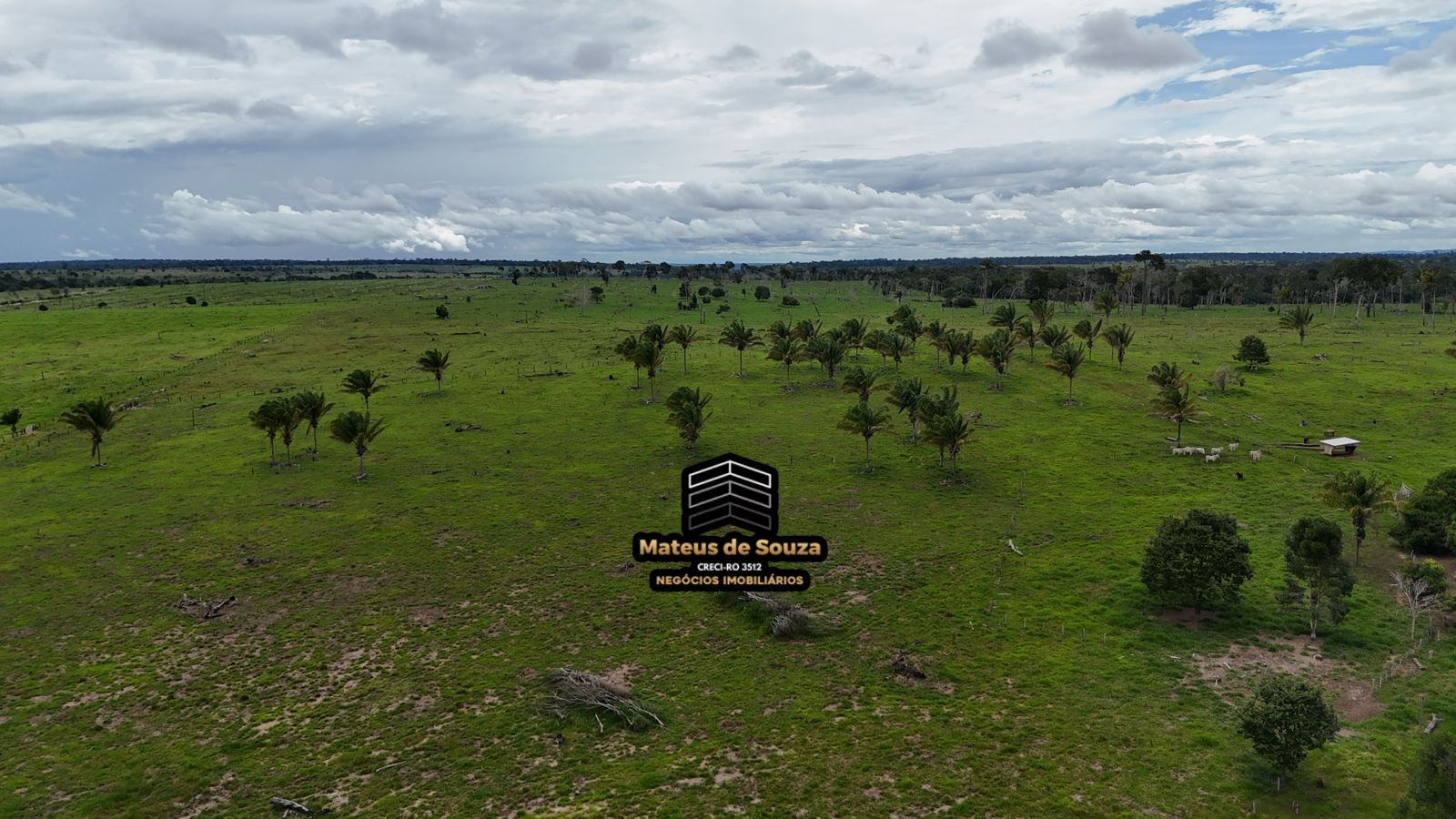 WhatsApp Image 2026-03-02 at 08.51.17 (4)