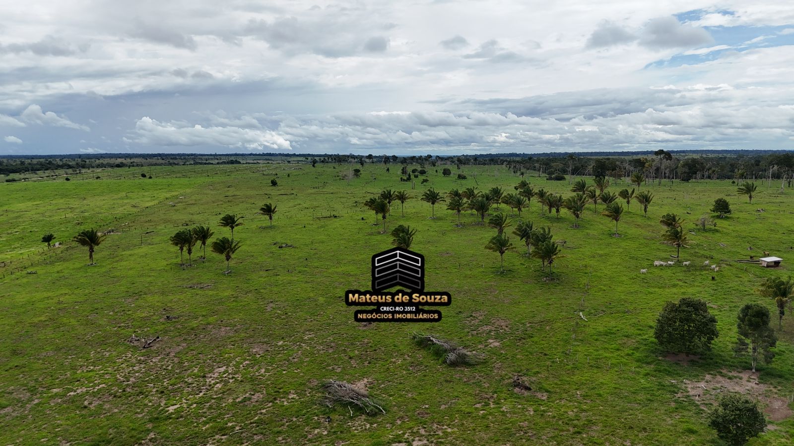 WhatsApp Image 2026-03-02 at 08.51.18 (2)