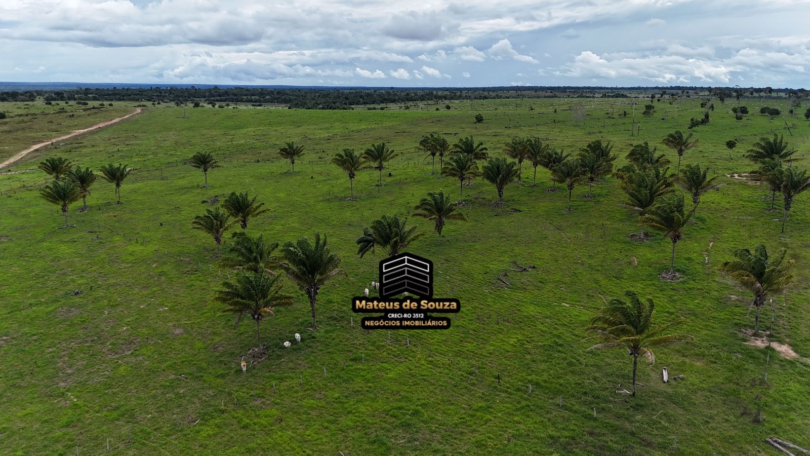 WhatsApp Image 2026-03-02 at 08.51.18 (3)