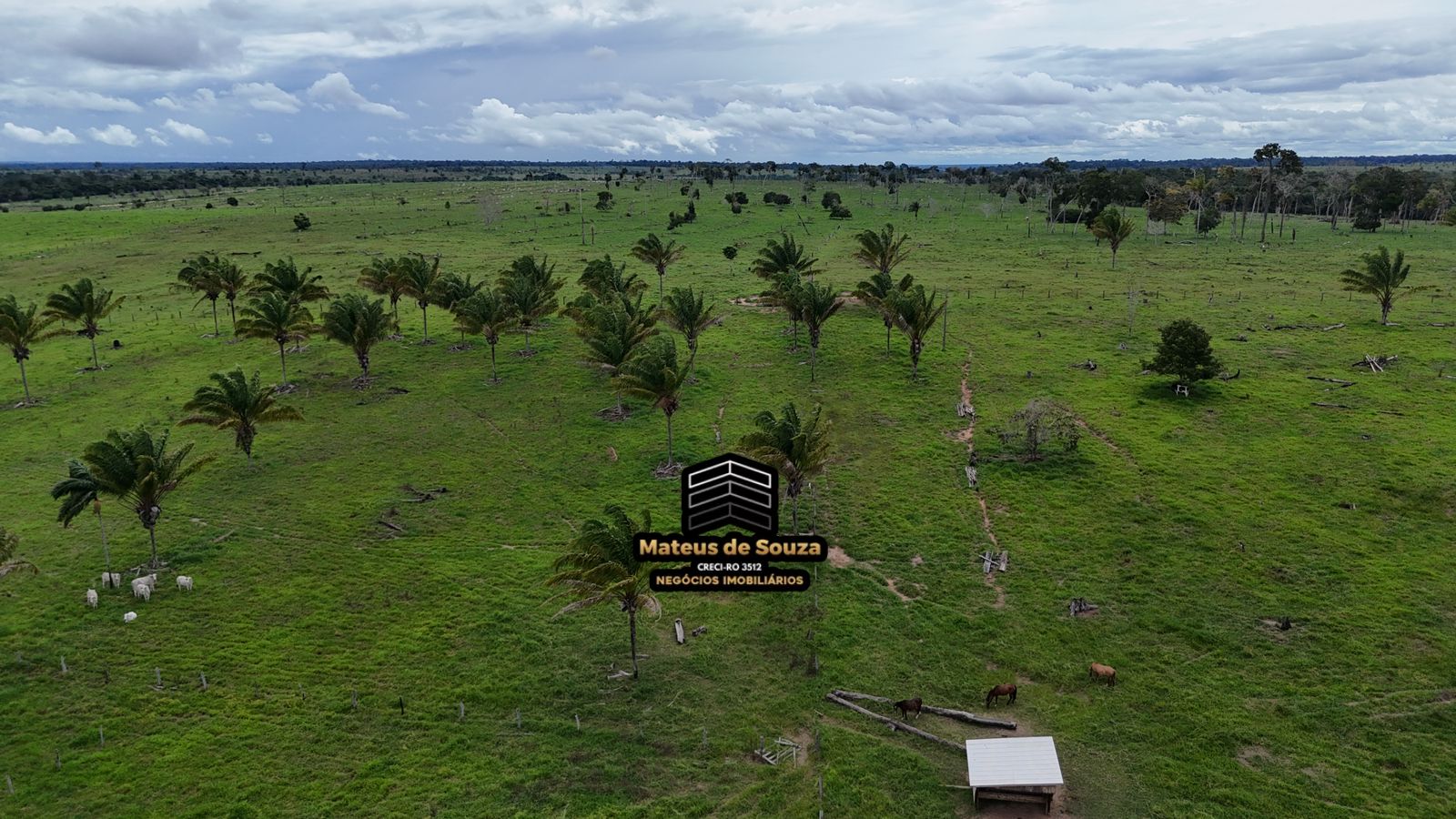 WhatsApp Image 2026-03-02 at 08.51.18 (4)