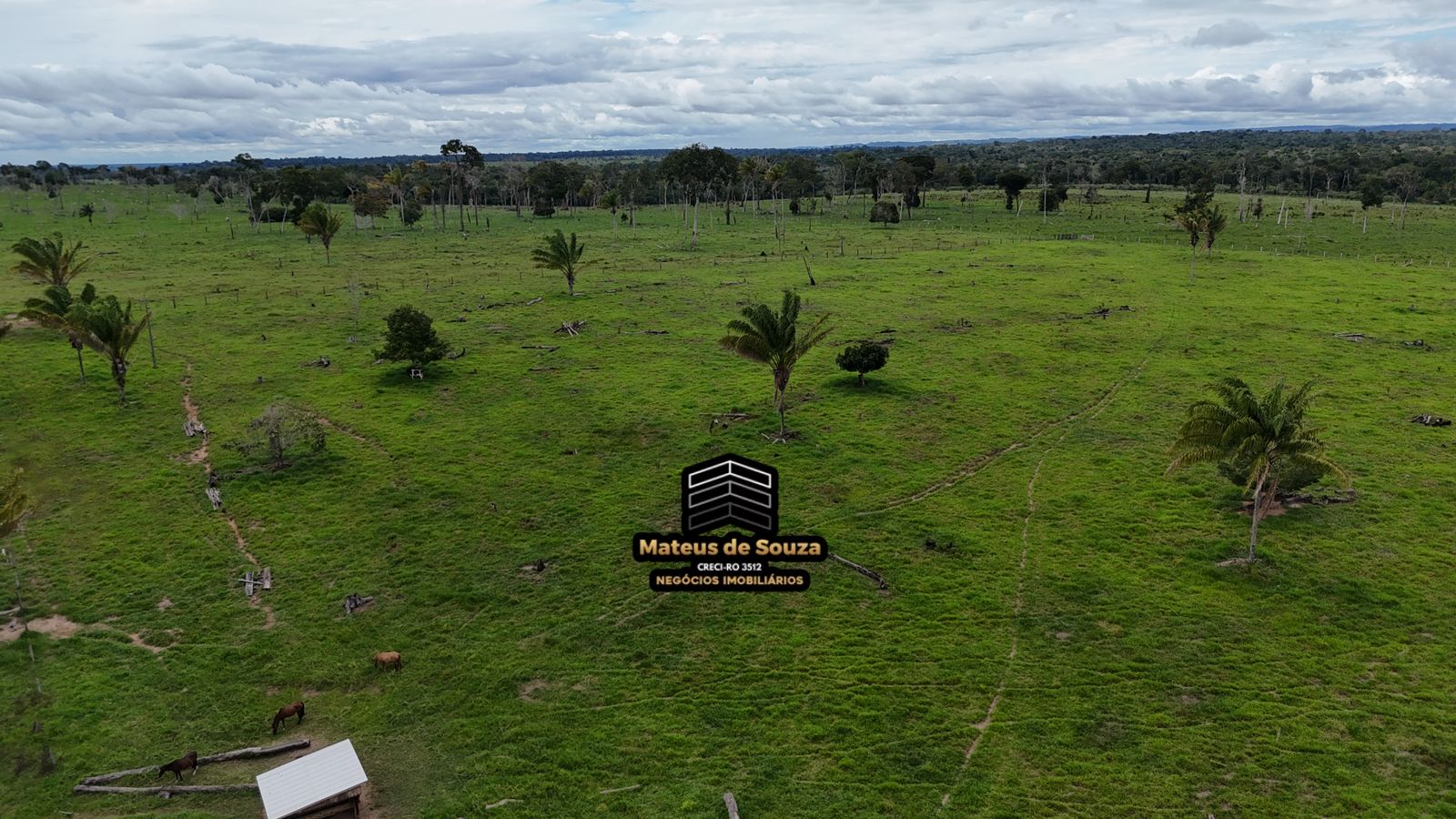 WhatsApp Image 2026-03-02 at 08.51.19