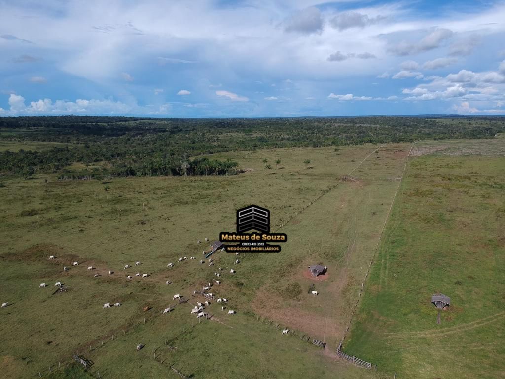 WhatsApp Image 2026-03-02 at 08.51.21 (1)