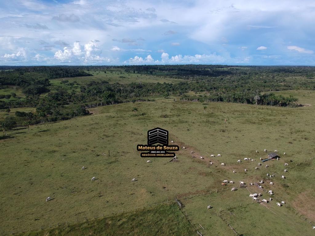 WhatsApp Image 2026-03-02 at 08.51.21 (2)