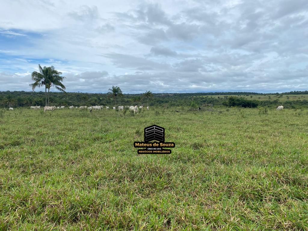 WhatsApp Image 2026-03-02 at 08.51.21 (4)