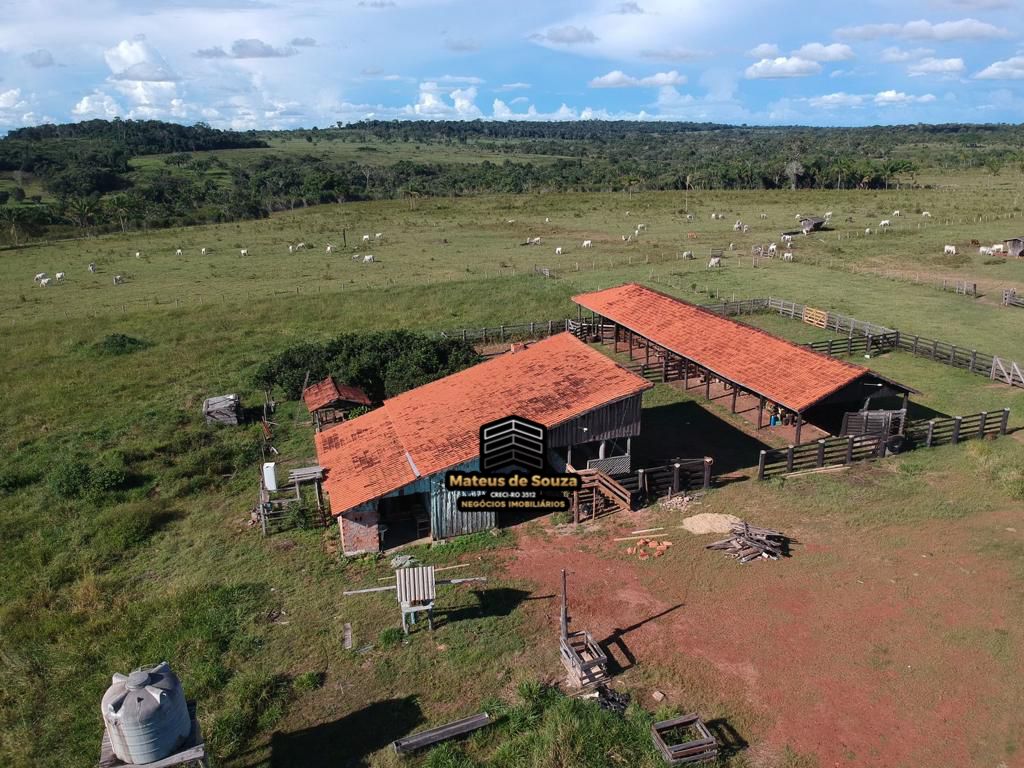 WhatsApp Image 2026-03-02 at 08.51.21