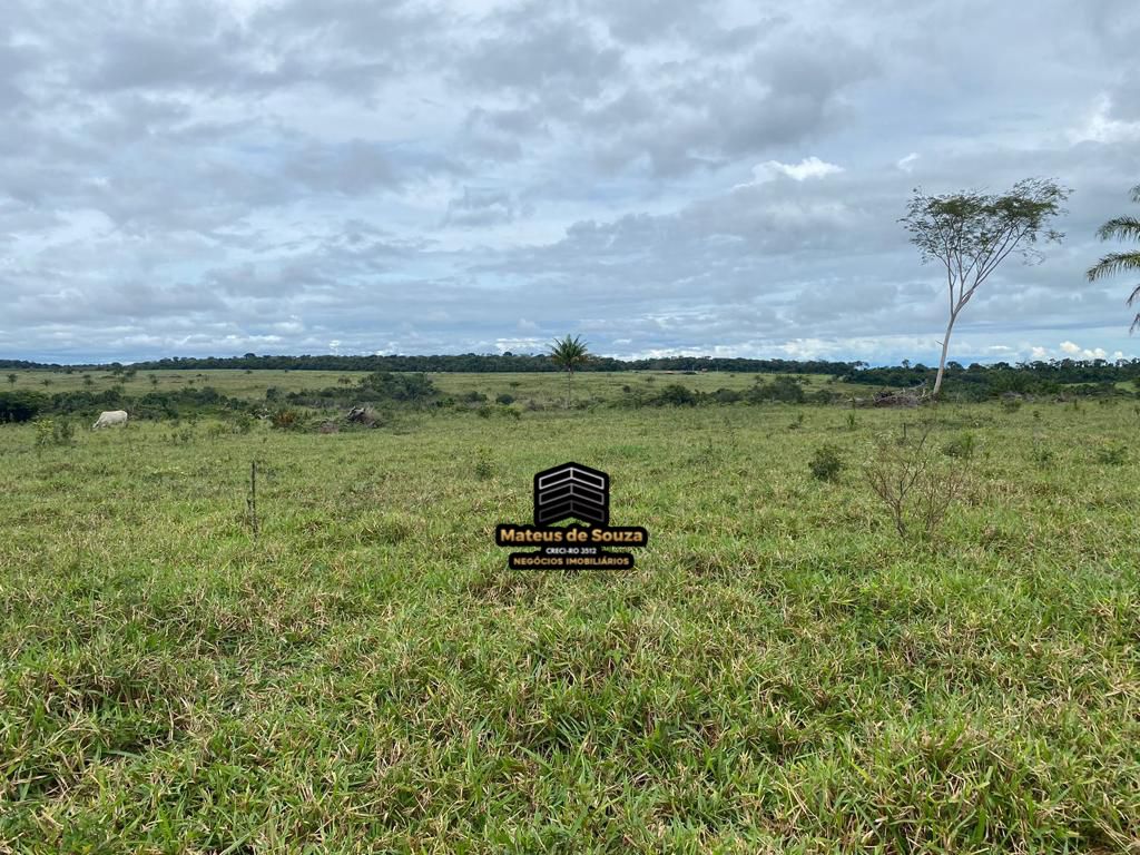 WhatsApp Image 2026-03-02 at 08.51.22