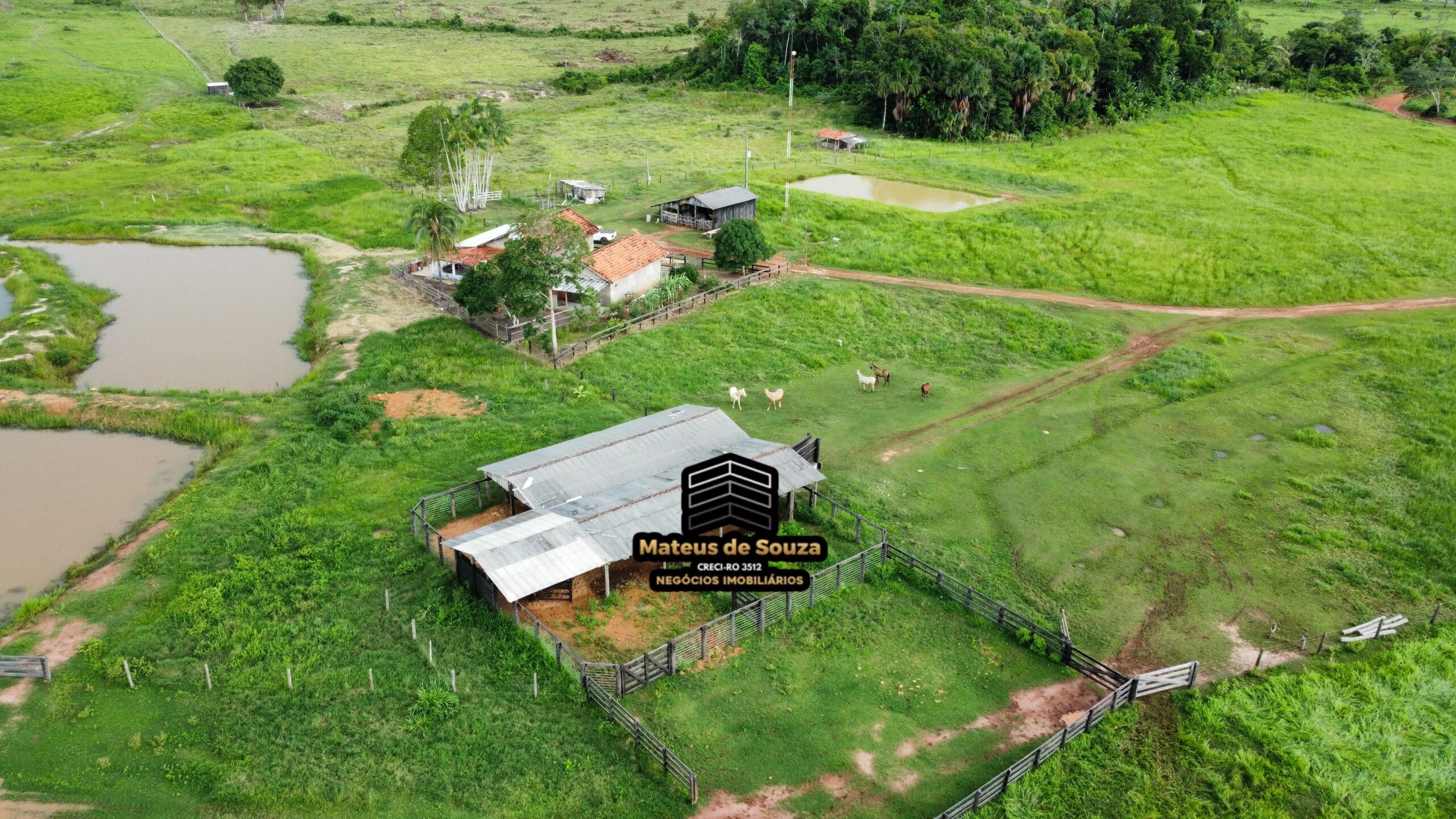 WhatsApp Image 2026-03-02 at 09.10.41