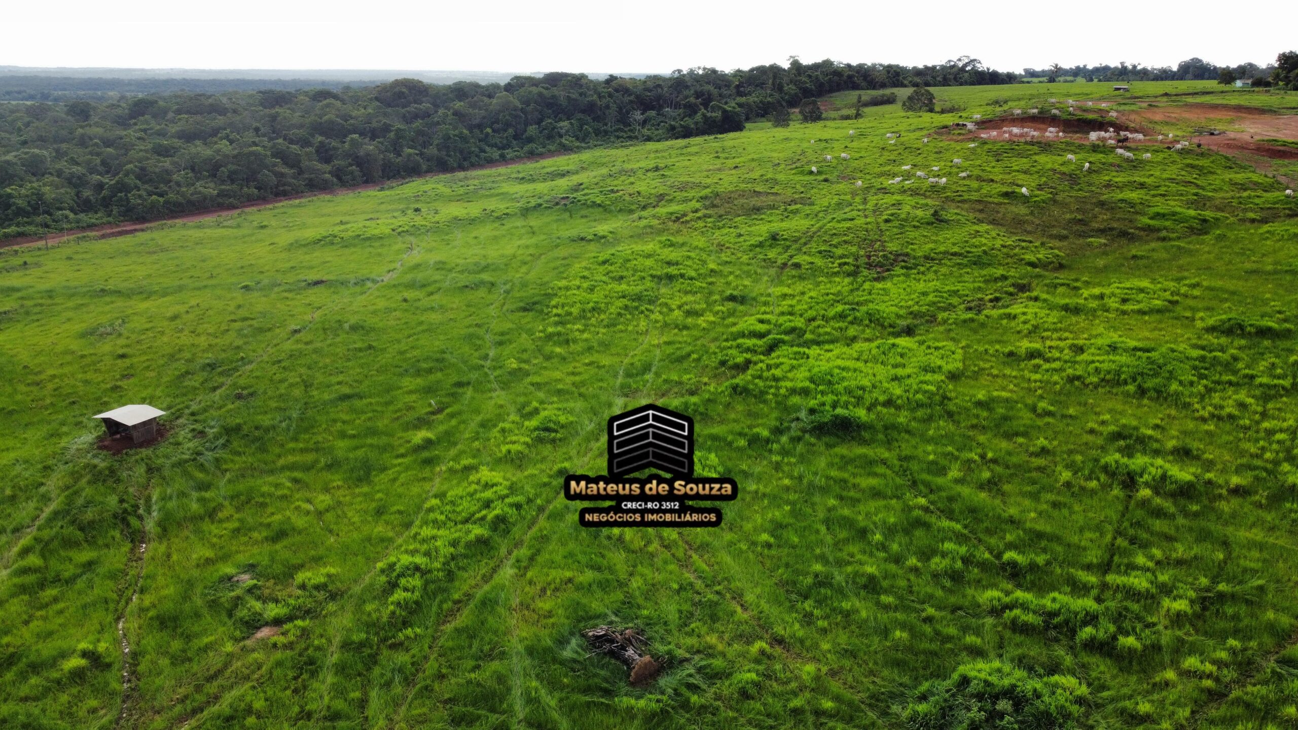 WhatsApp Image 2026-03-02 at 09.10.42 (1)