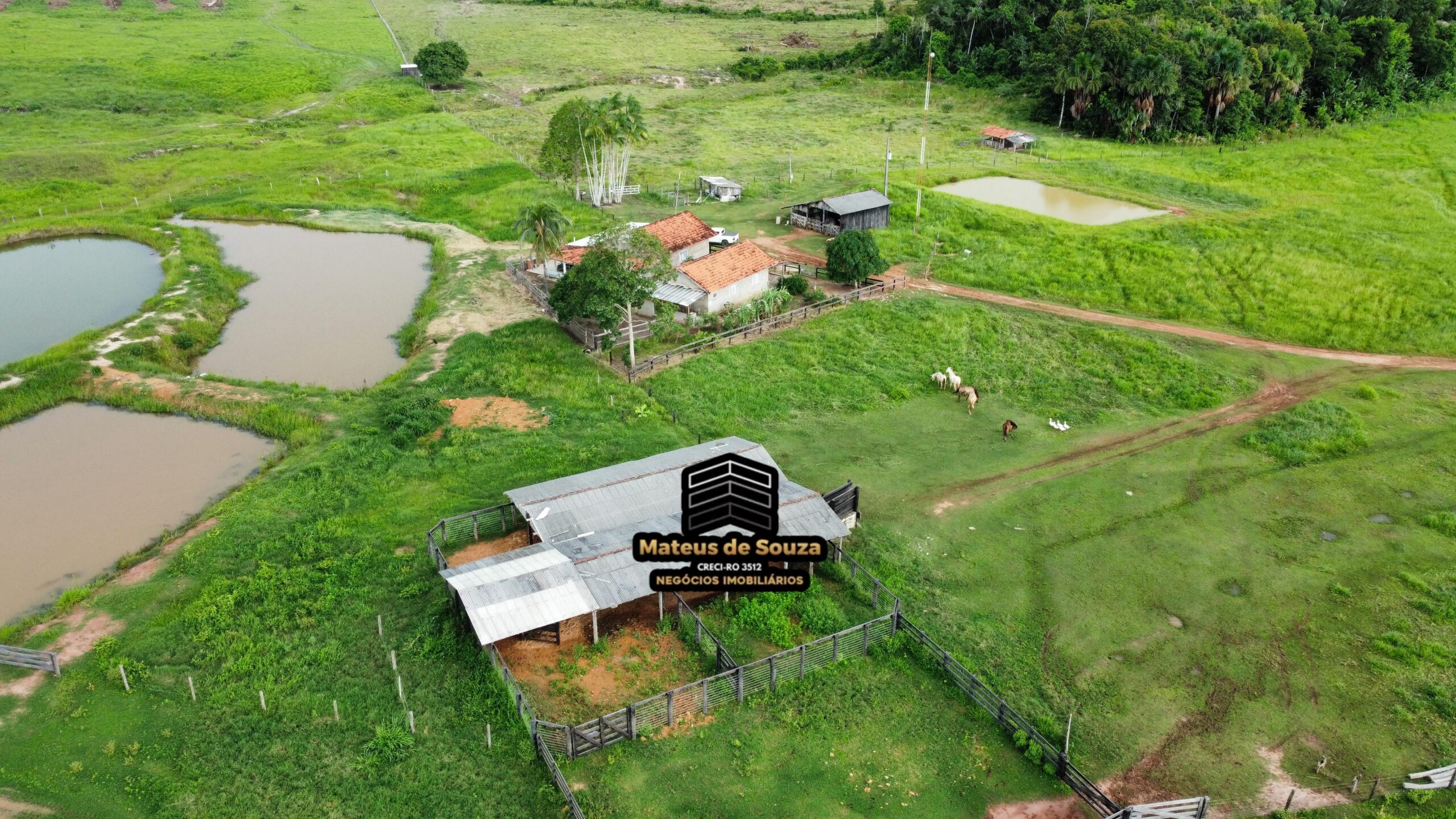 WhatsApp Image 2026-03-02 at 09.10.42 (3)