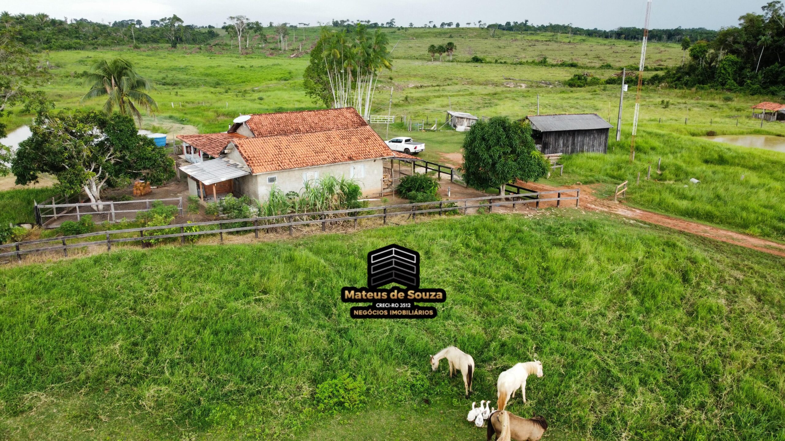 WhatsApp Image 2026-03-02 at 09.10.42 (4)