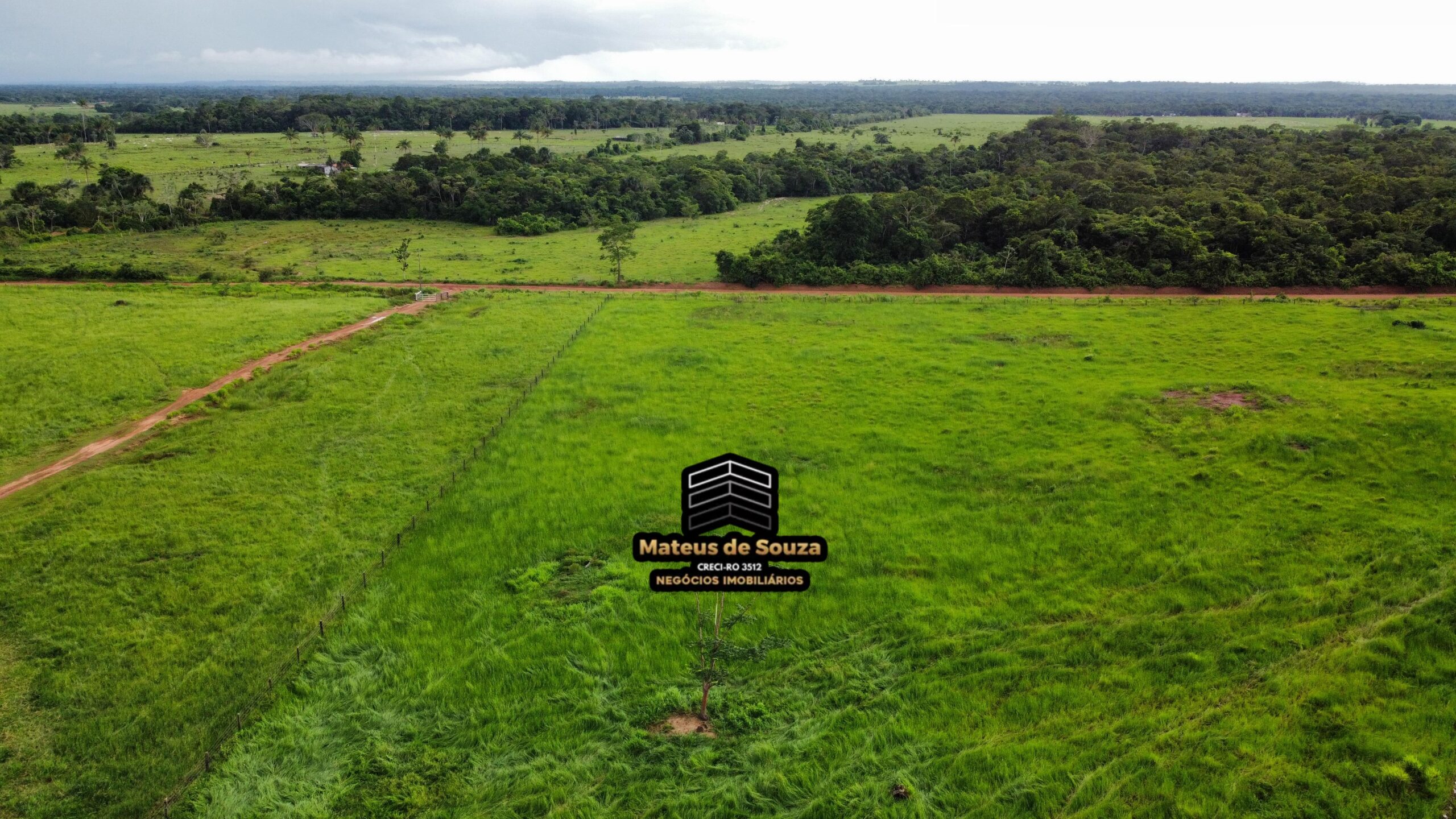 WhatsApp Image 2026-03-02 at 09.10.42