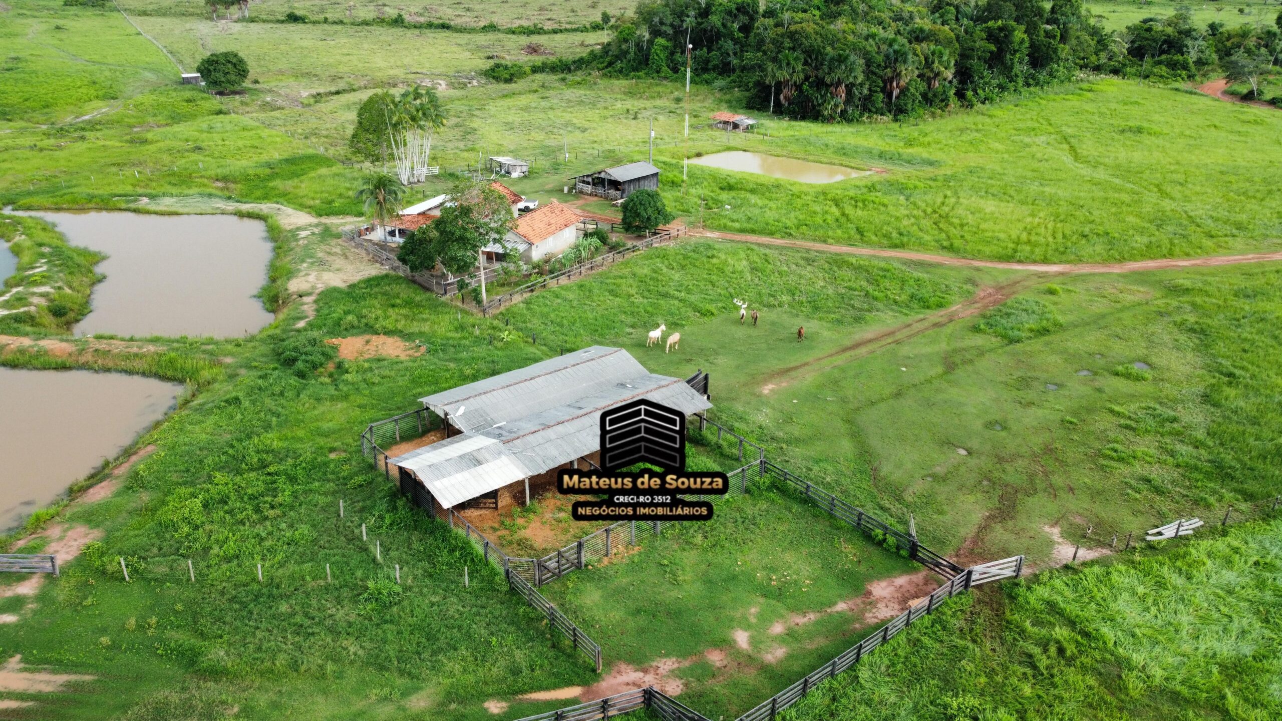 WhatsApp Image 2026-03-02 at 09.10.43 (1)