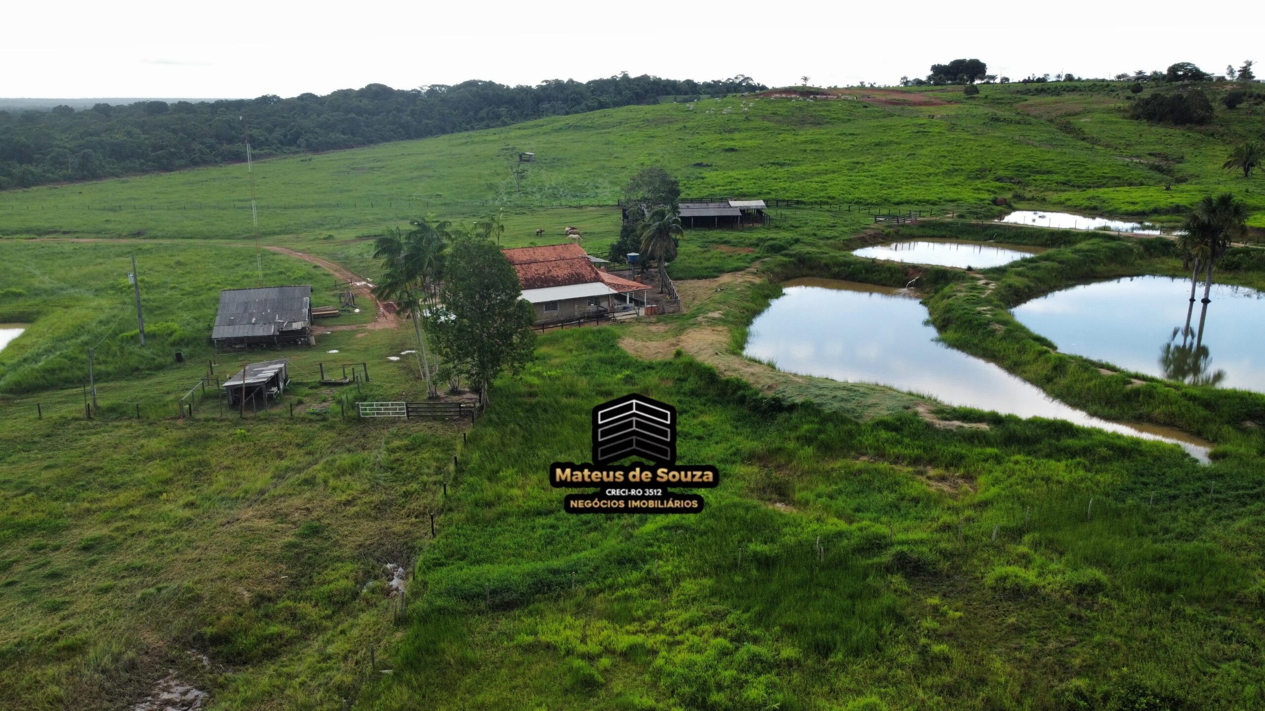 WhatsApp Image 2026-03-02 at 09.10.43 (3)