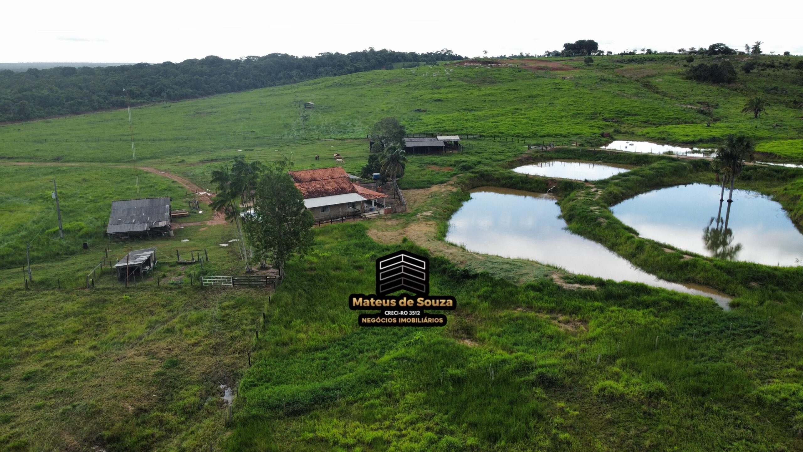 WhatsApp Image 2026-03-02 at 09.10.43 (4)