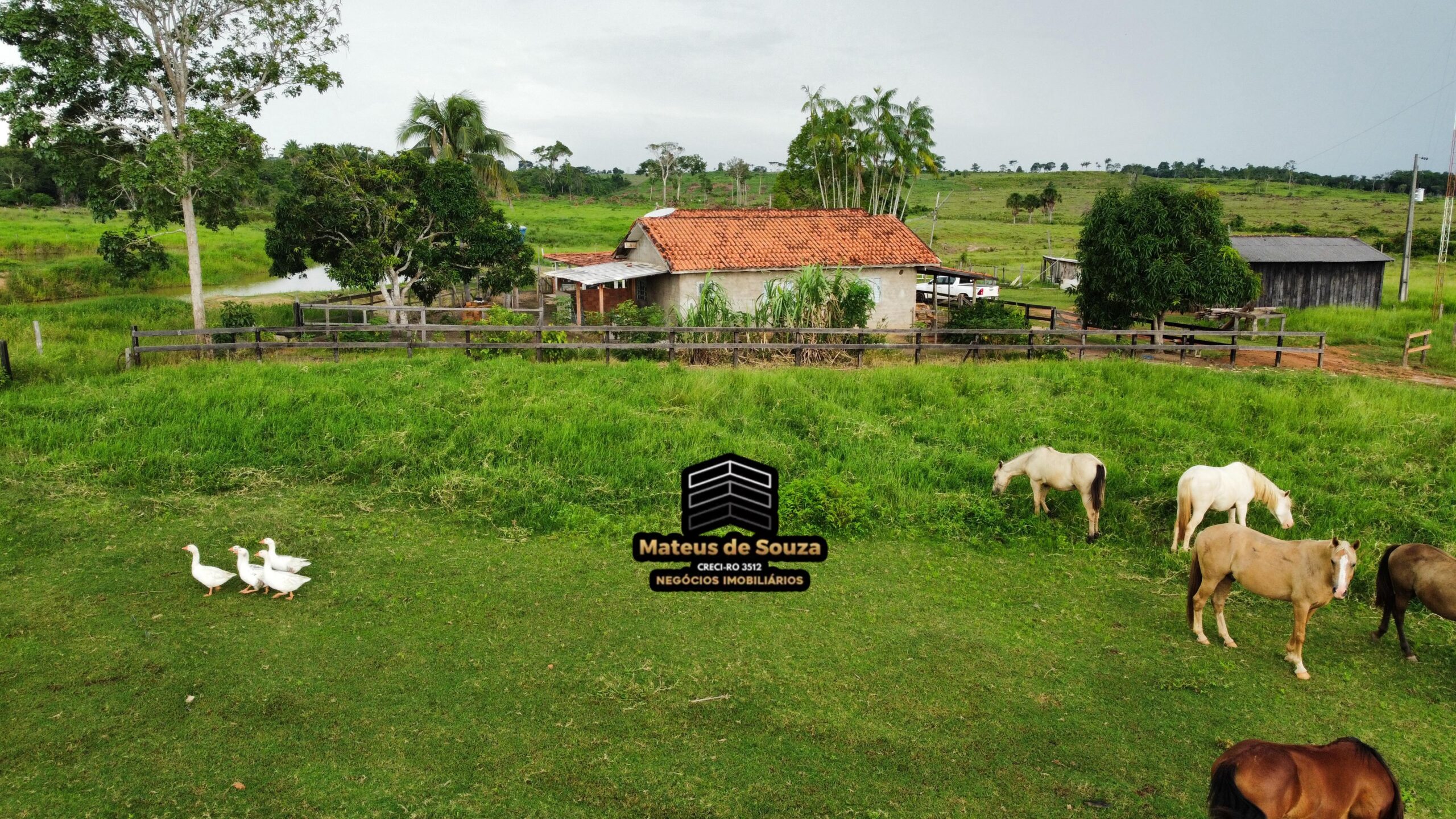 WhatsApp Image 2026-03-02 at 09.10.43