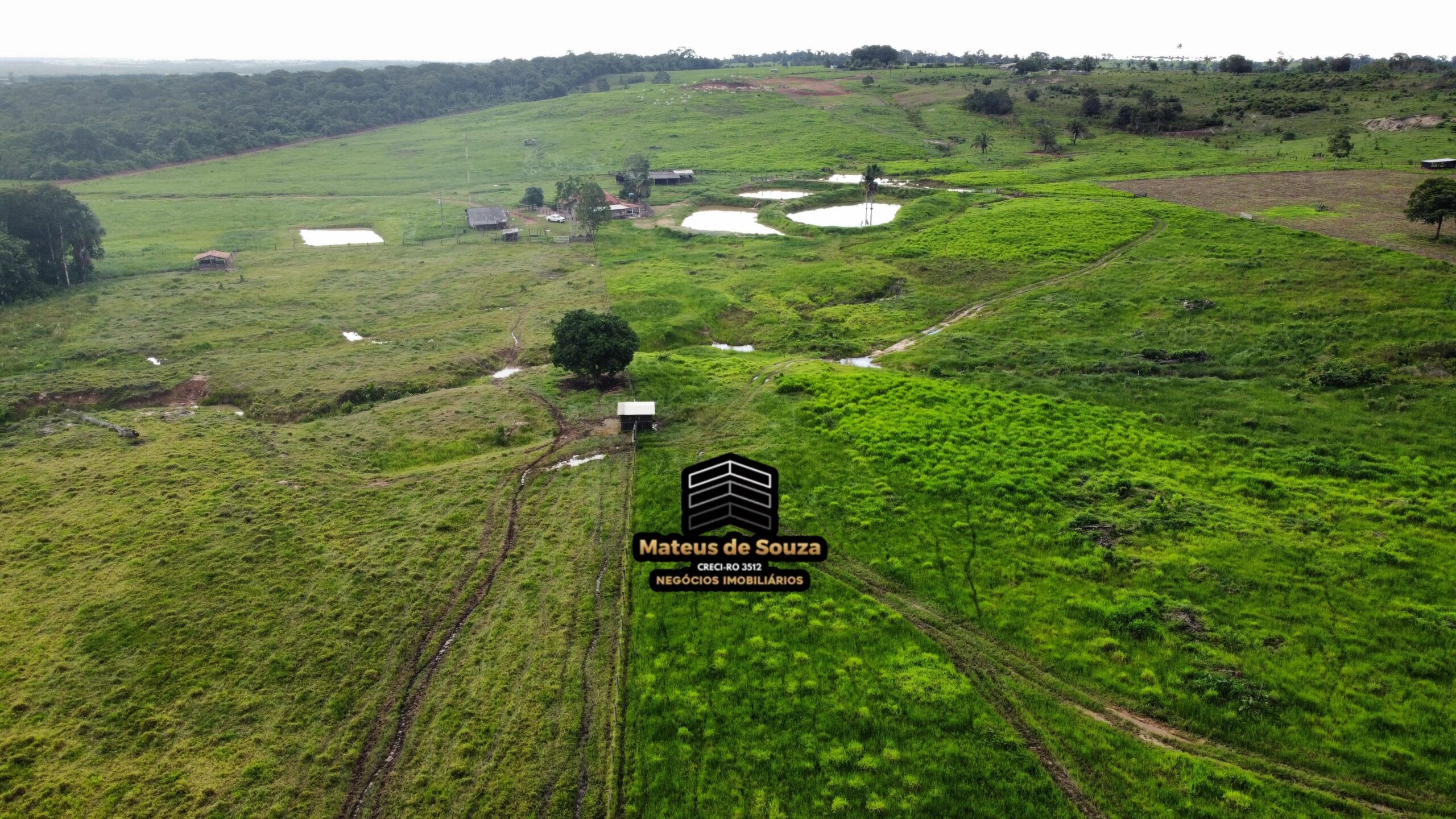 WhatsApp Image 2026-03-02 at 09.10.44 (1)