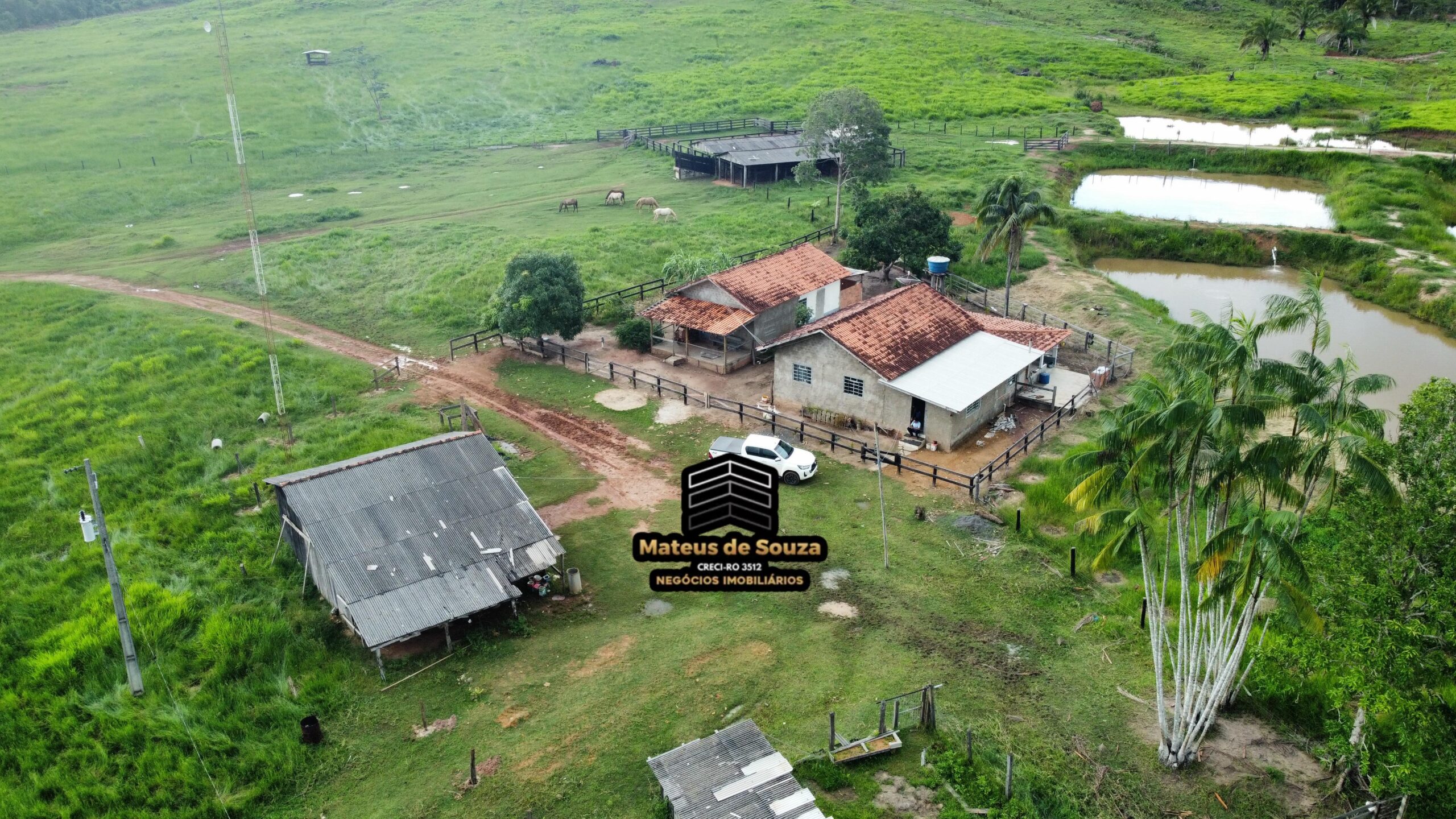 WhatsApp Image 2026-03-02 at 09.10.44 (2)