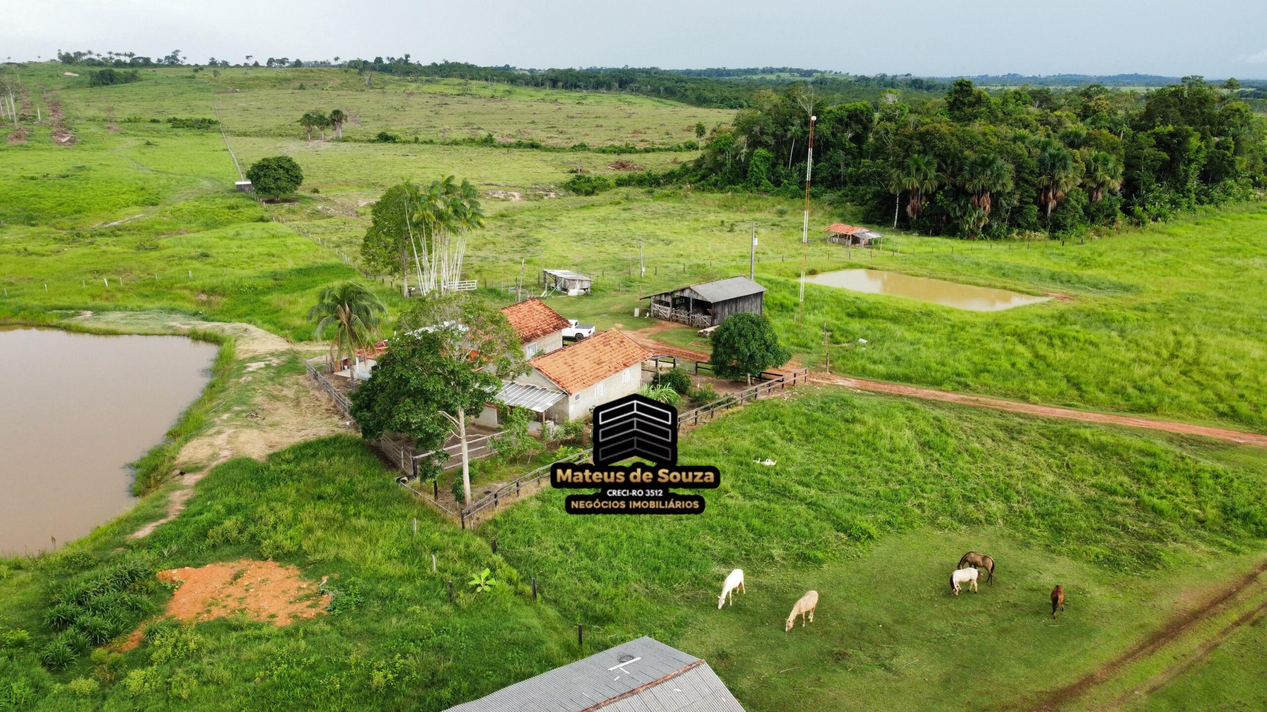 WhatsApp Image 2026-03-02 at 09.10.44