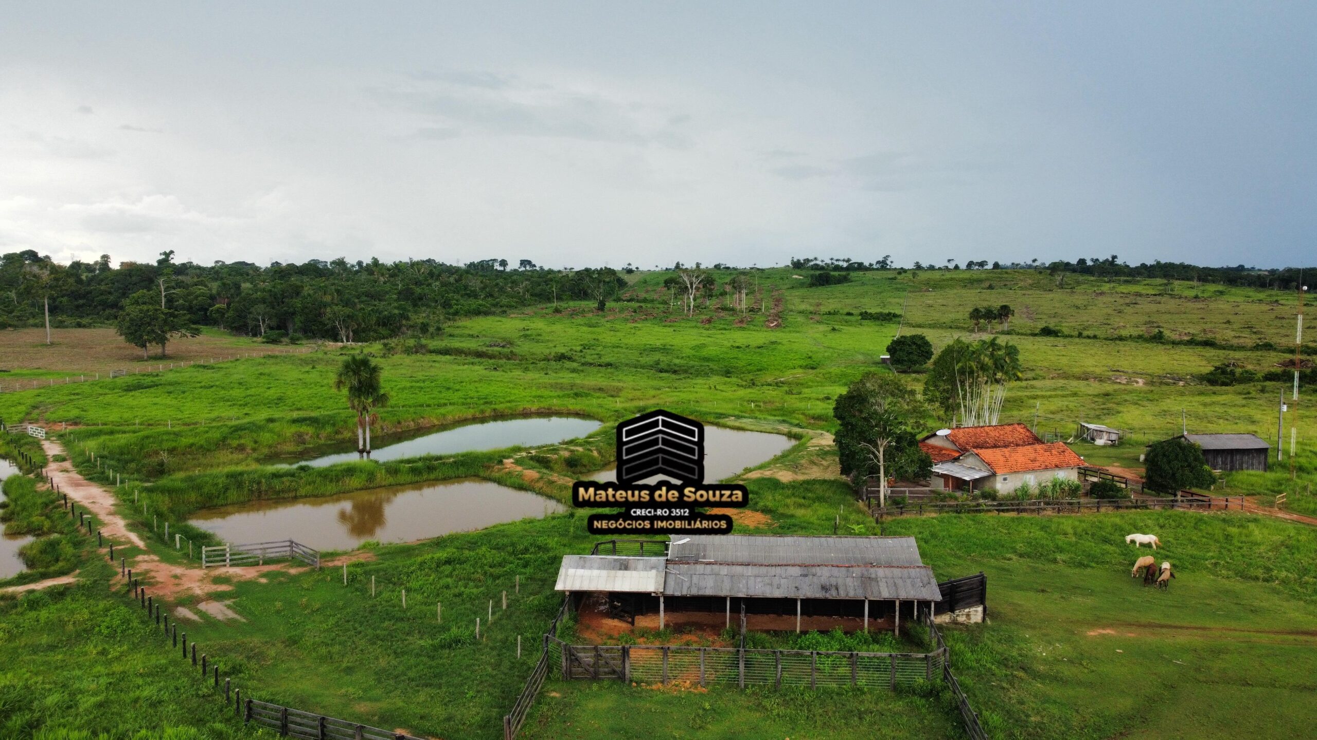 WhatsApp Image 2026-03-02 at 09.10.45 (1)