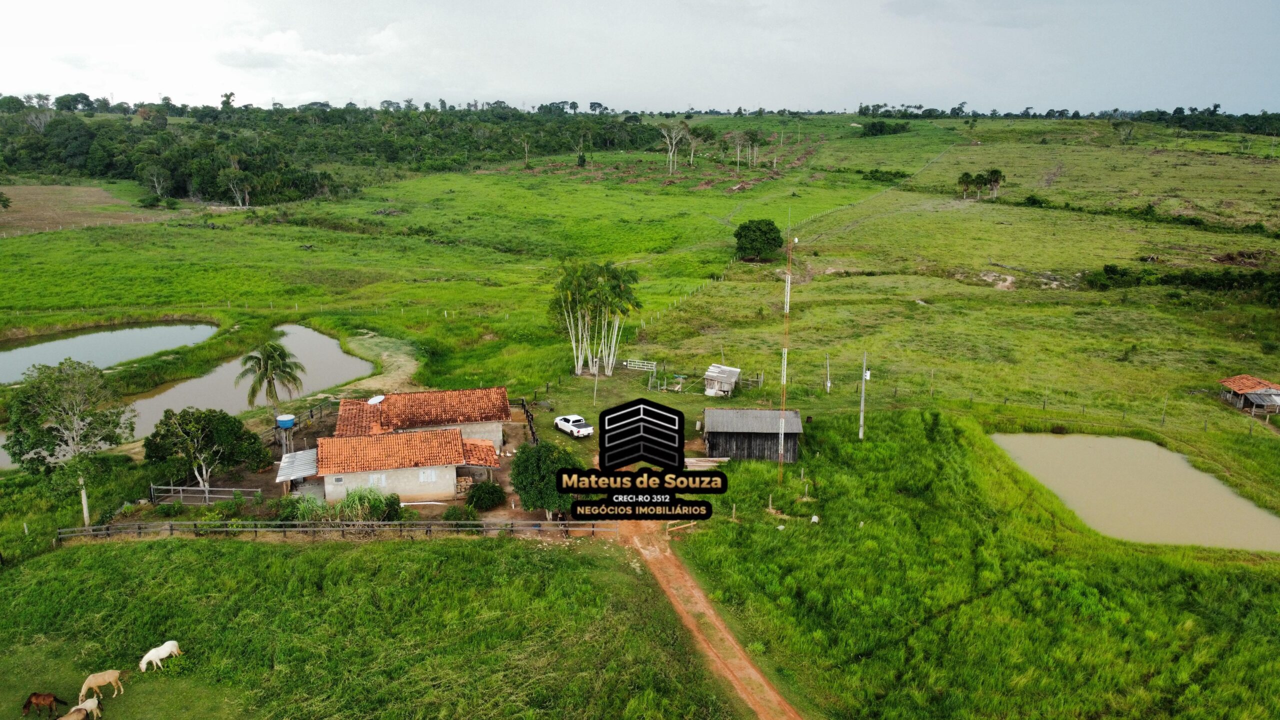 WhatsApp Image 2026-03-02 at 09.10.45 (3)