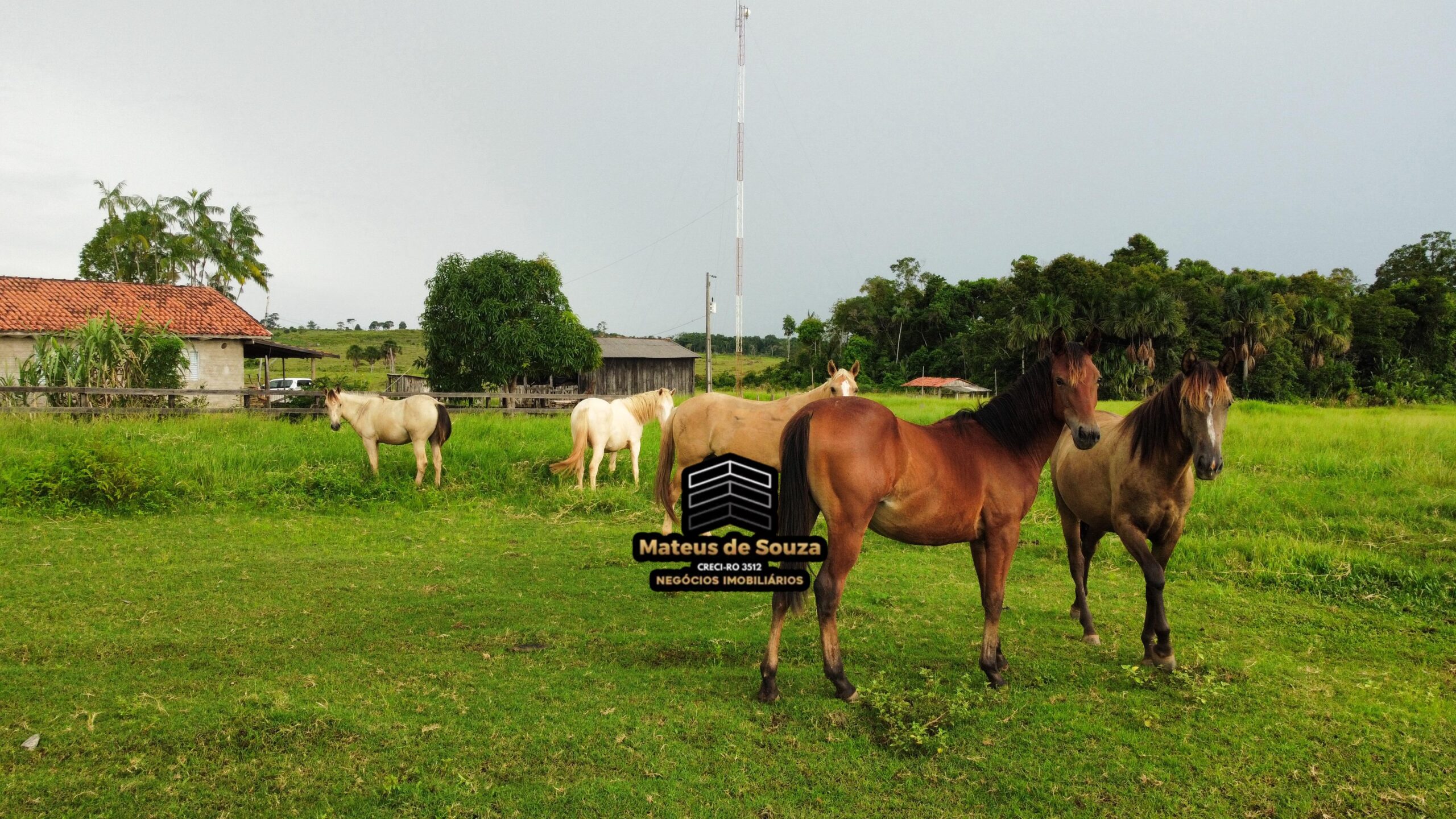 WhatsApp Image 2026-03-02 at 09.10.46 (1)