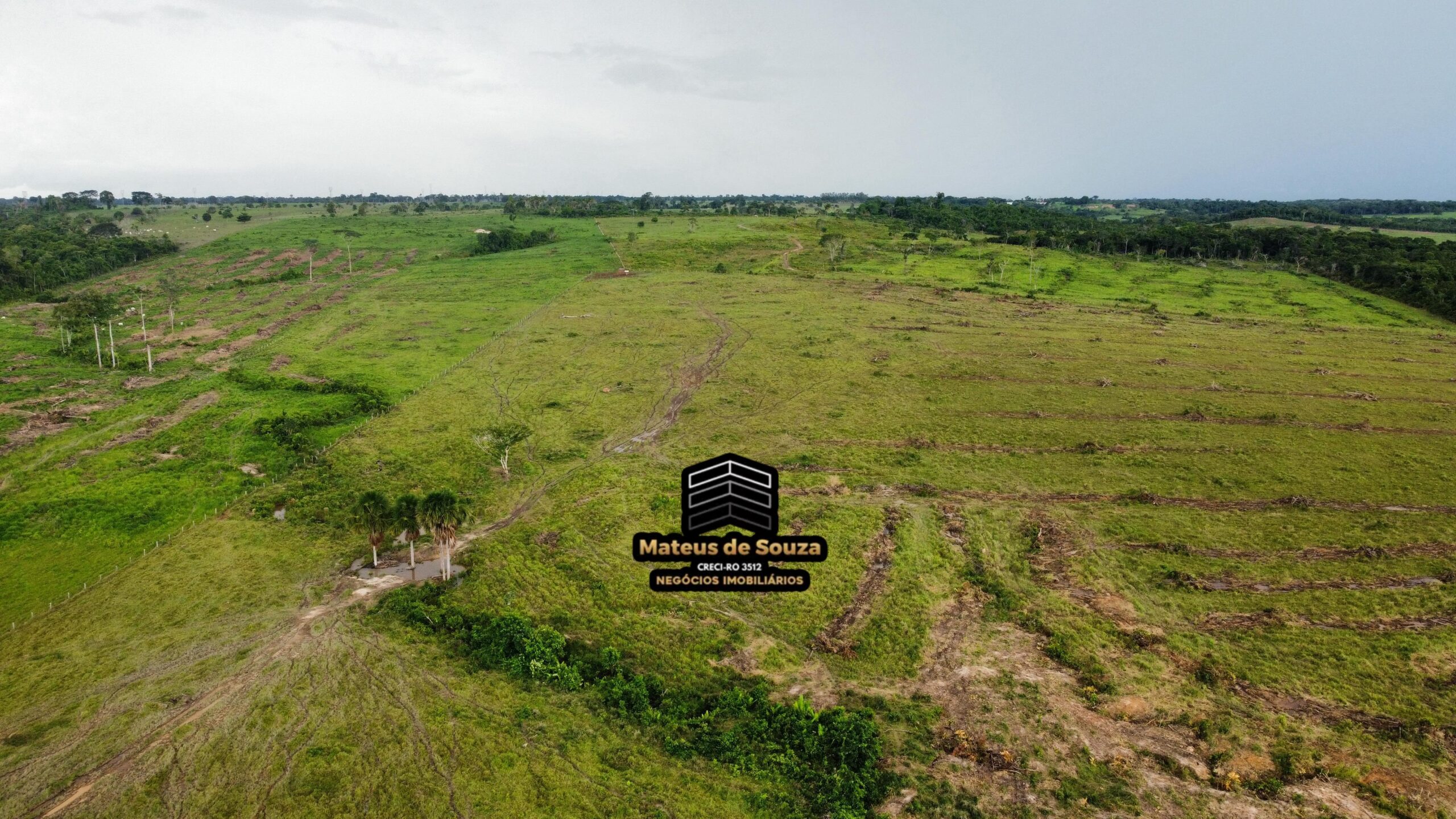 WhatsApp Image 2026-03-02 at 09.10.46