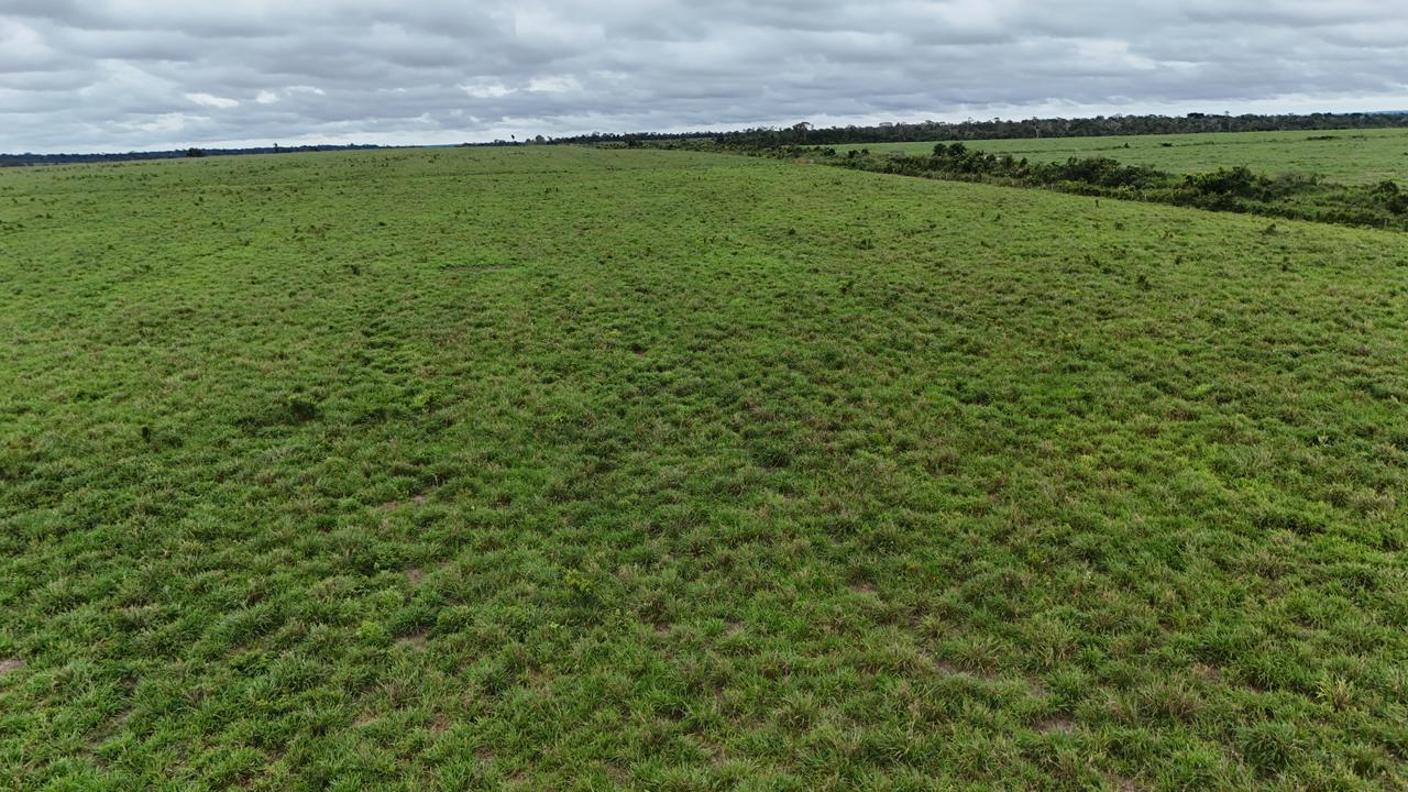 WhatsApp Image 2026-03-02 at 15.50.14 (1)