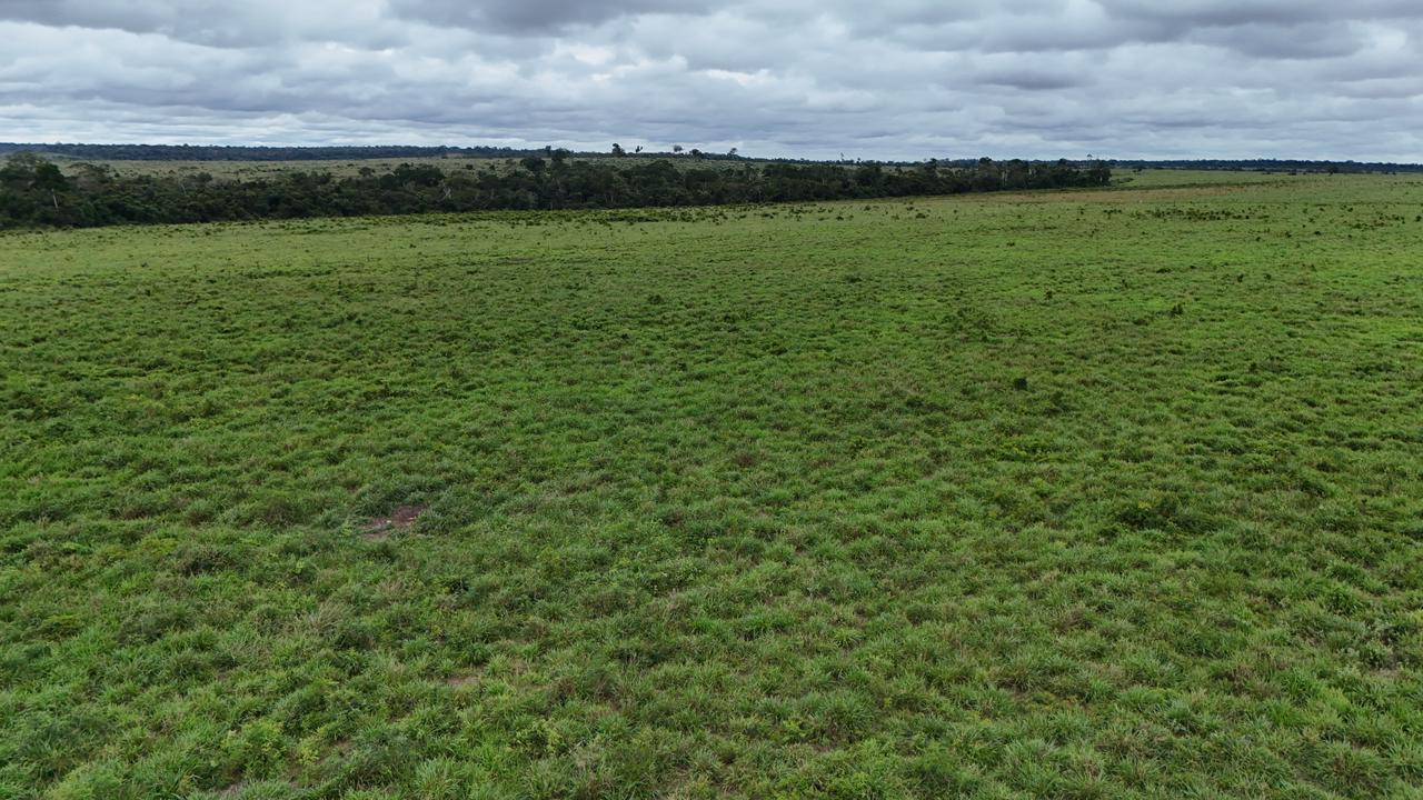 WhatsApp Image 2026-03-02 at 15.50.14