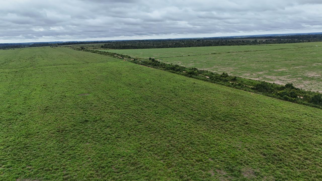 WhatsApp Image 2026-03-02 at 15.50.15 (1)