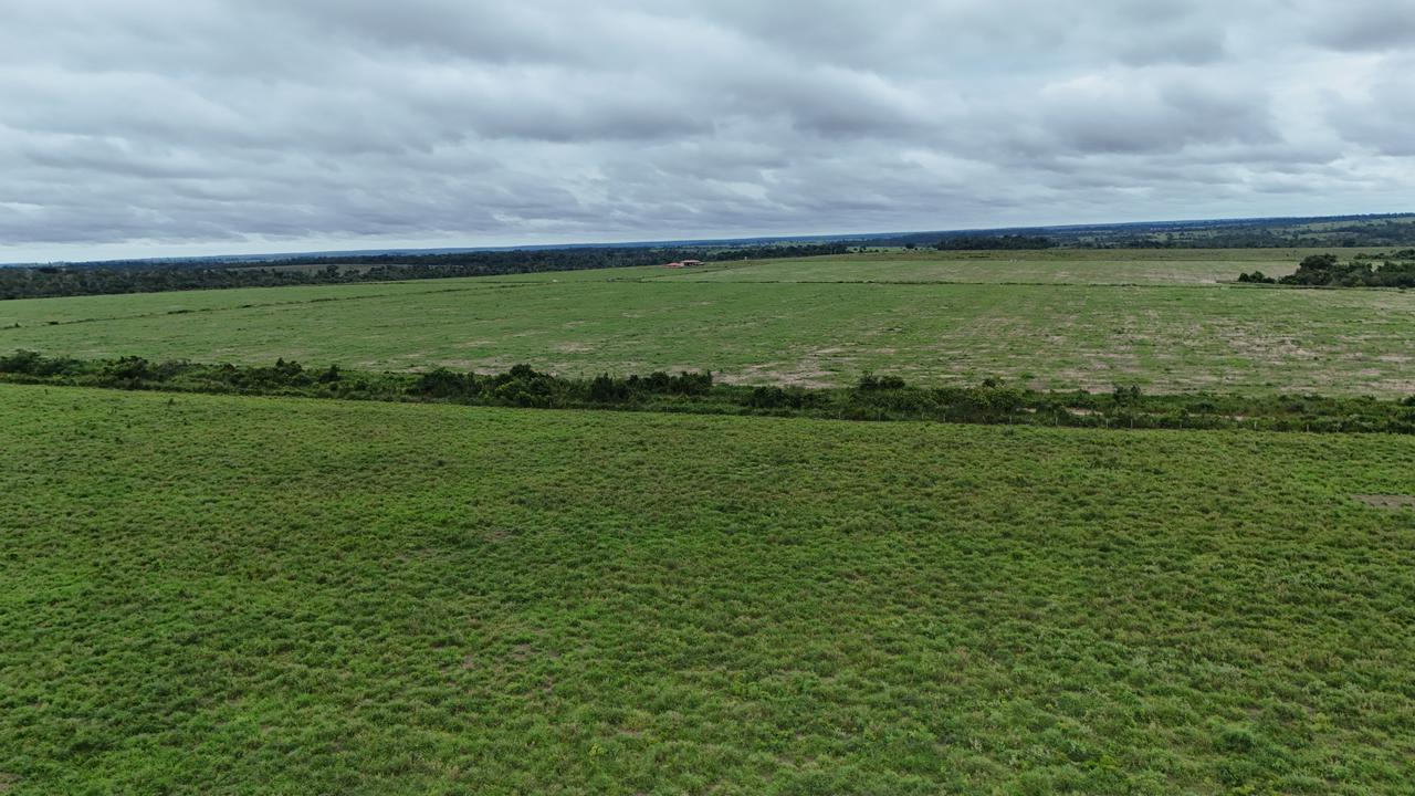 WhatsApp Image 2026-03-02 at 15.50.15 (2)