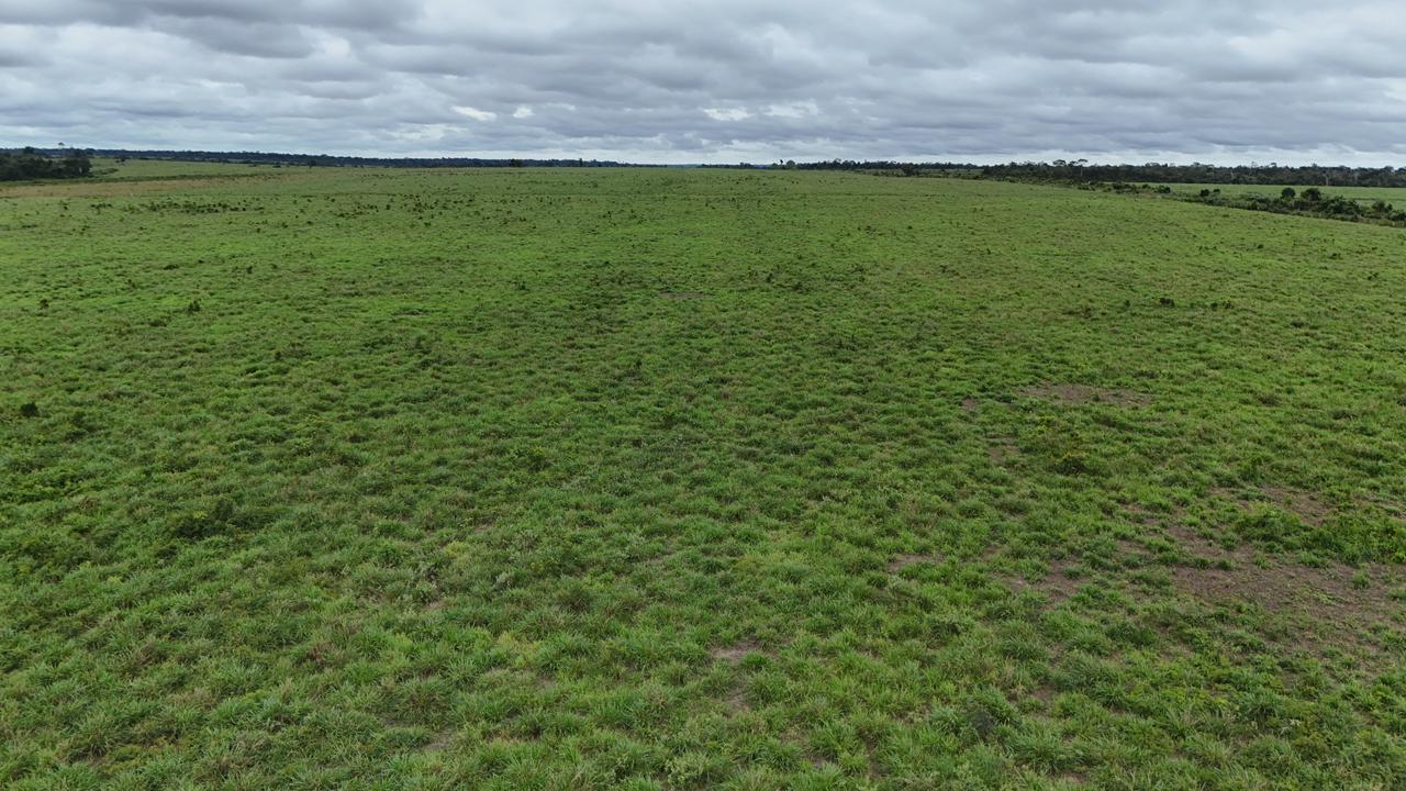 WhatsApp Image 2026-03-02 at 15.50.15