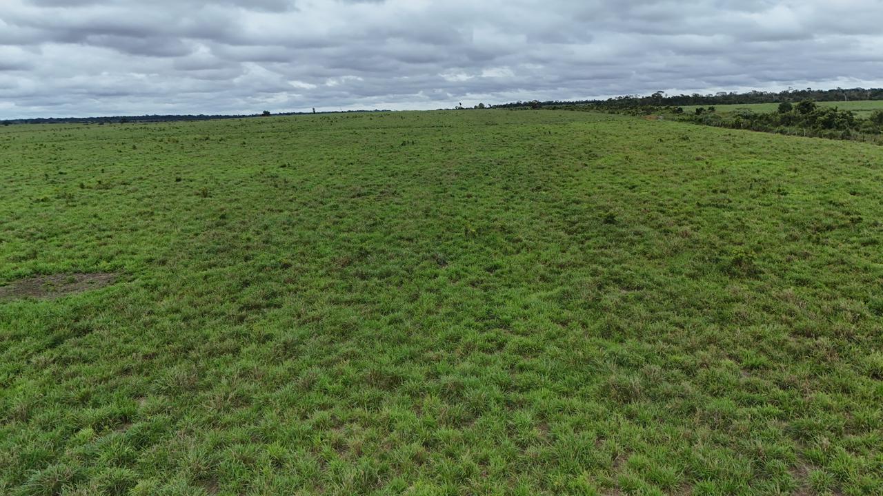 WhatsApp Image 2026-03-02 at 15.50.16 (1)